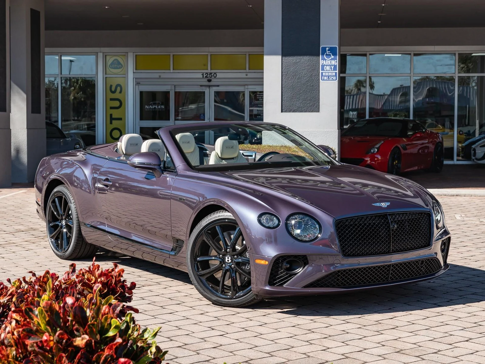 mph011_1799420026_Used_2024_Bentley_Continental_GT_V8_1763485643_b53f9afa11