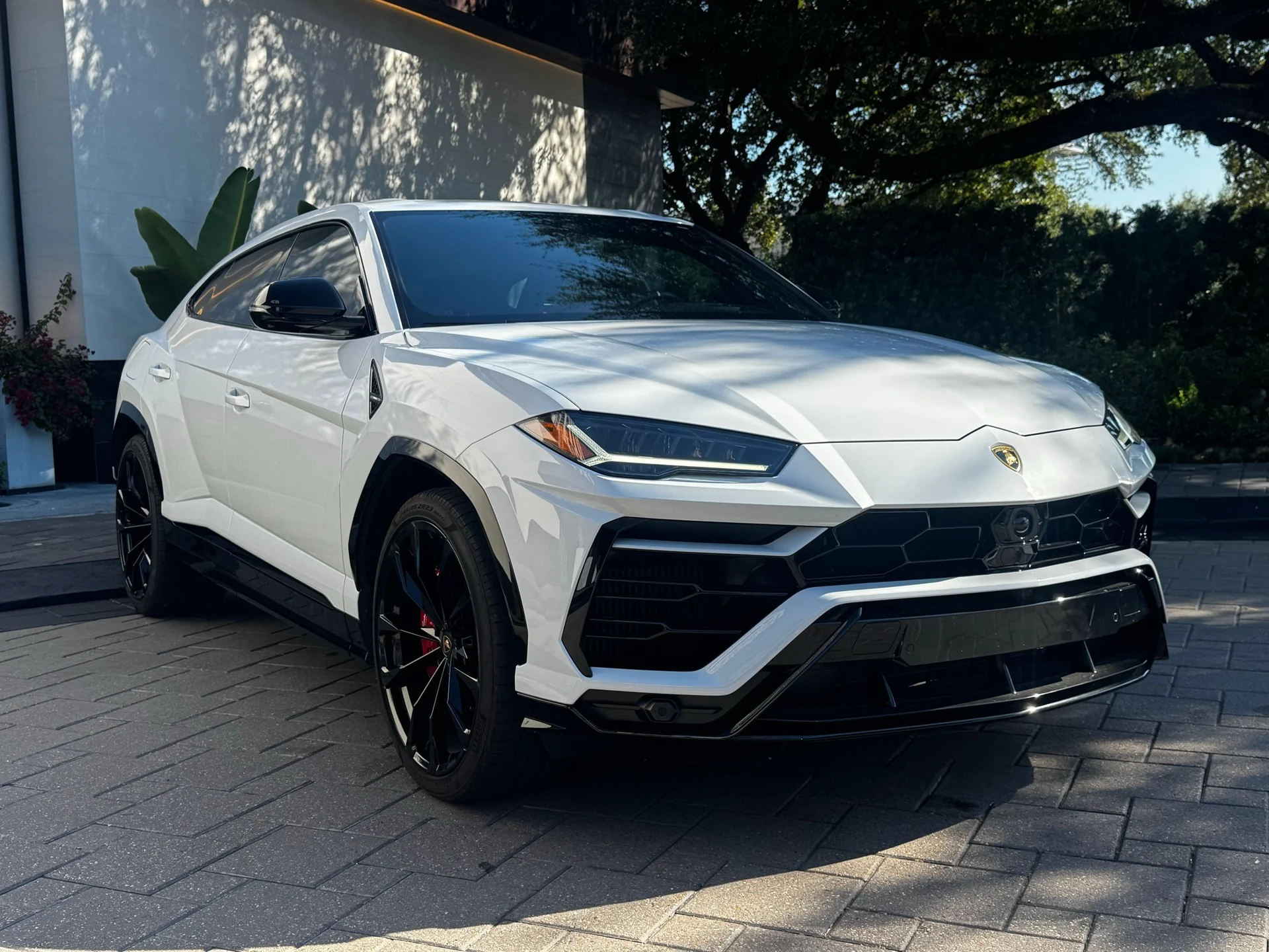 mph011_1813024563_image_12_5a7415c8e9