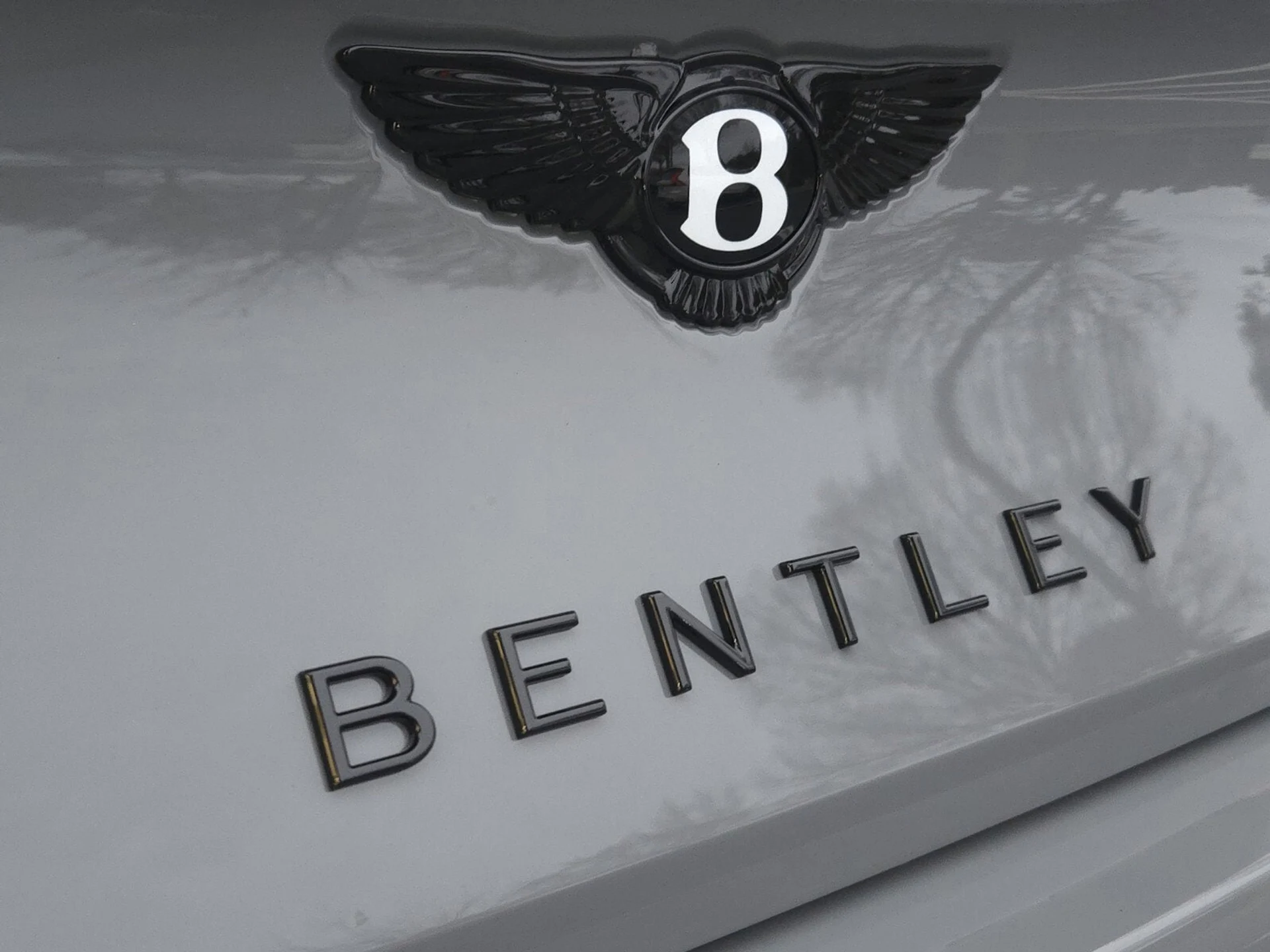 mph011_1924662537_589682879f41d0eb86e1a7d6afd87040x_18ef193d94