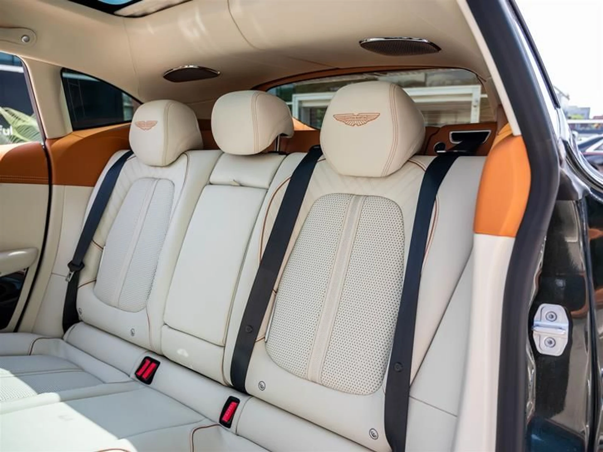 mph011_2151360378_gk5cau2v_738483e277