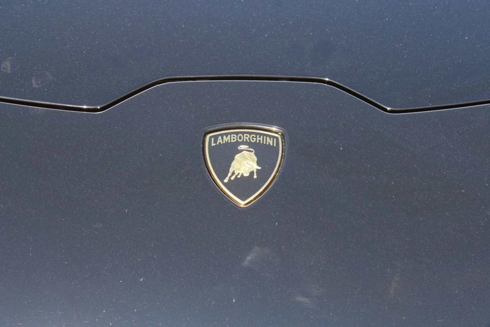 mph011_2194133414_22c292f1558b882effdbc53d8915deb7_314df89466