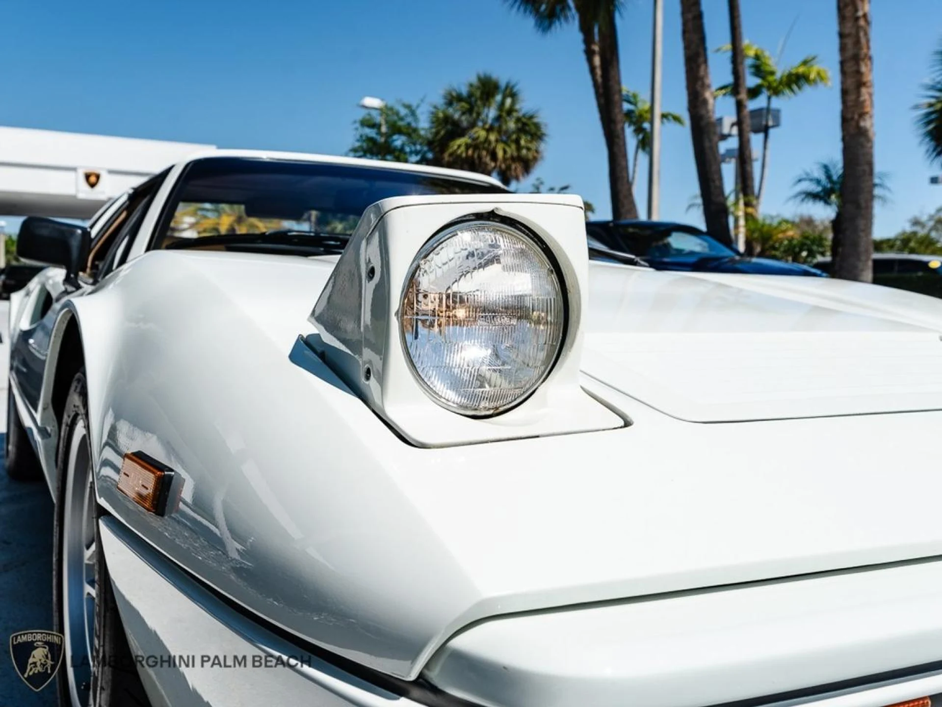 mph011_2209008753_a60770dd36516e32eaa528e37375e766_988dbabb2d