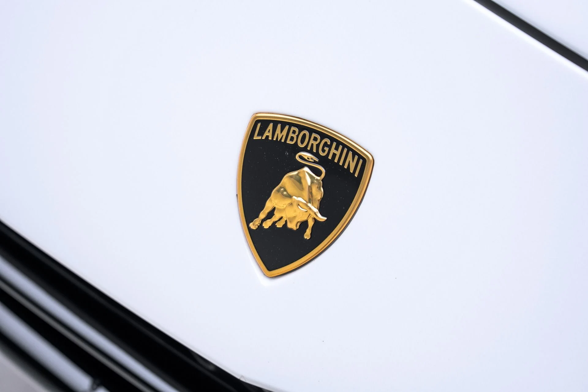 mph011_2209972757_Used_2024_Lamborghini_Urus_Performante_1775146757_43e4304cc1