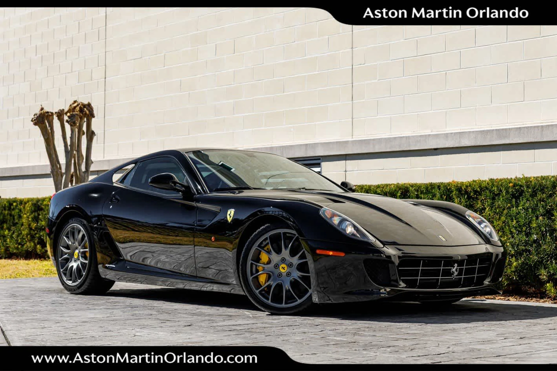 mph011_2257769527_12_bd92d43d37