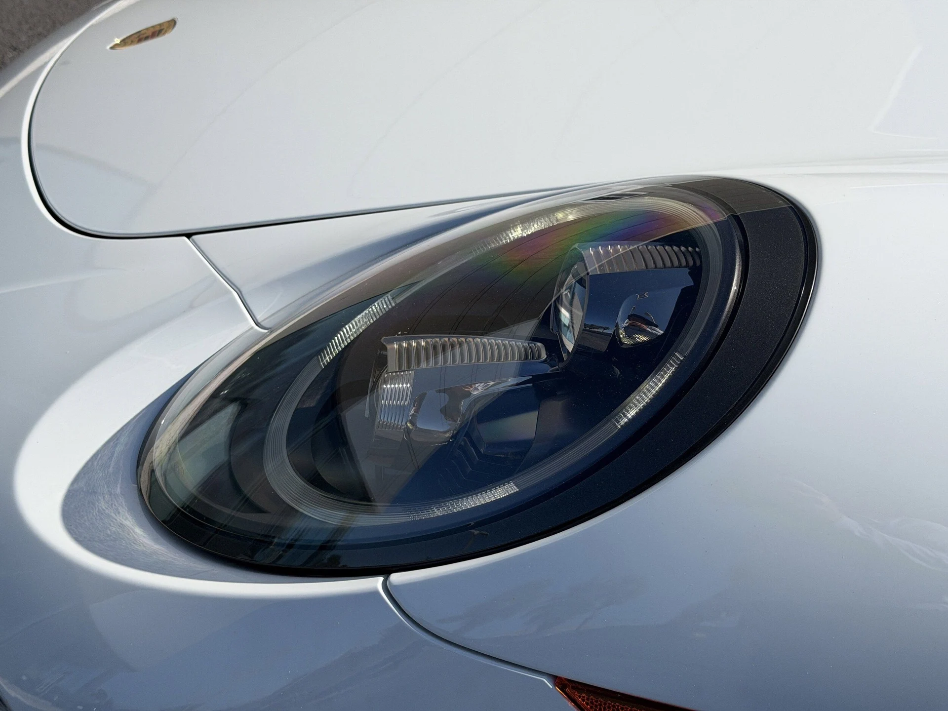 mph011_2266689377_d42a313ffb6bcf6e086d378674f4b47ex_ee00173253