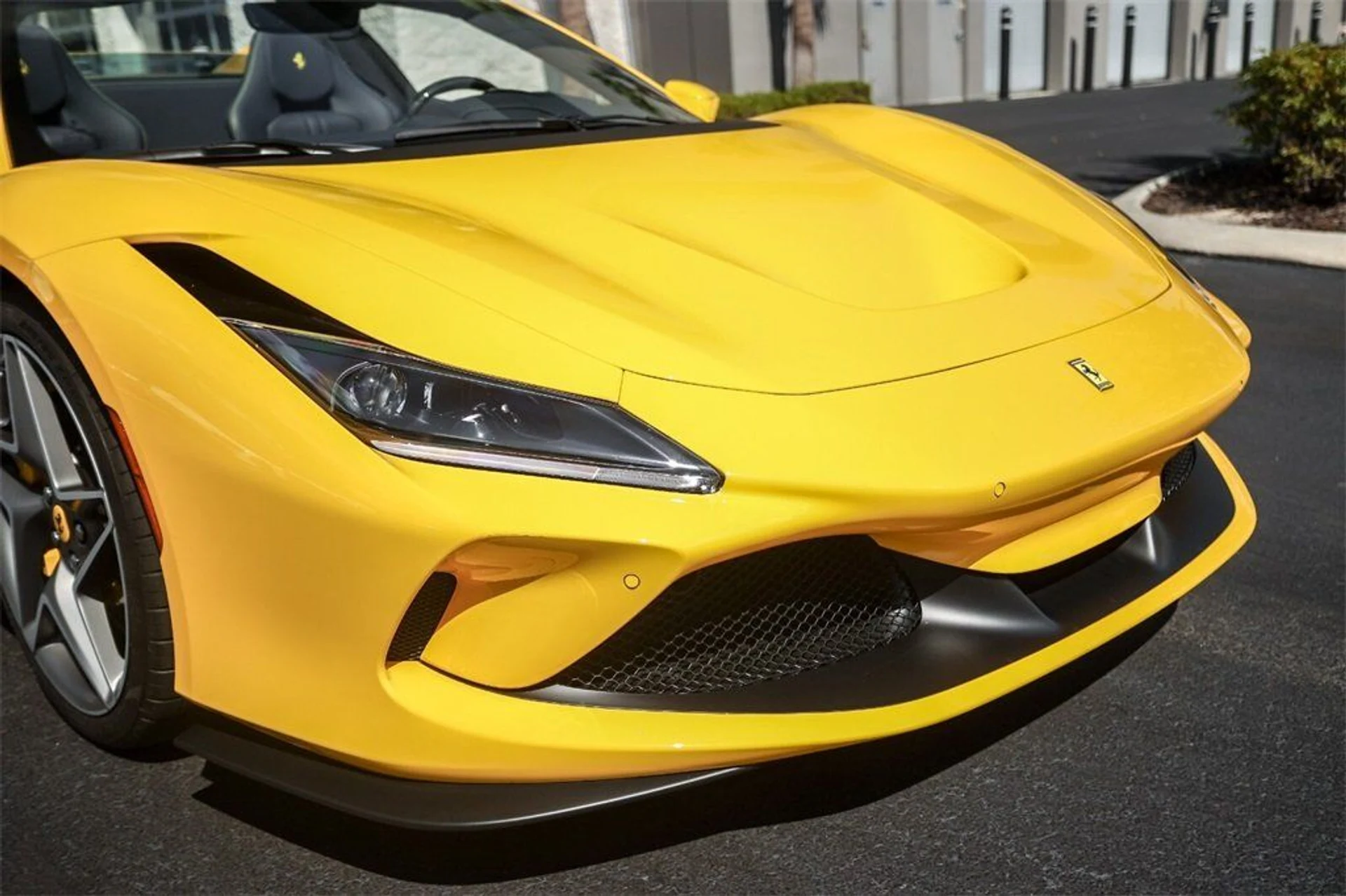 mph011_2305294915_c190c7d524ce57ac556b5411a0800075_4e7199c460