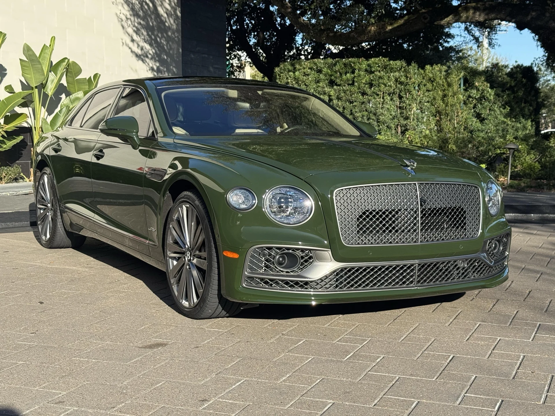 mph011_2398477088_488998462_696a5a439f577a8006365b96_703c288c0d