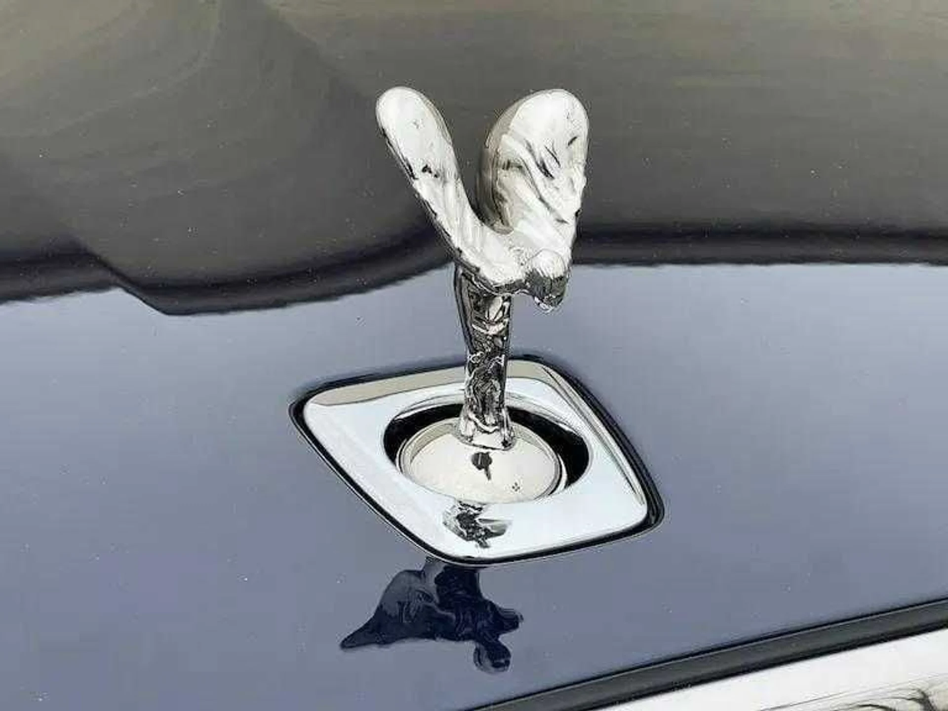 mph011_2423427283_fb8878704c4aad4bb598eb599564bab6x_82d6319fa0