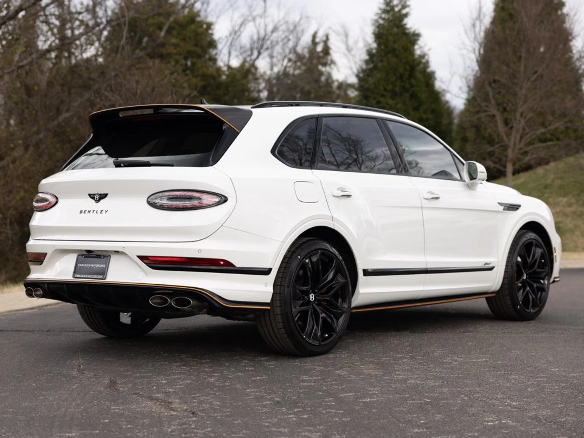 mph011_2498480697_480417655_69442332815a036f0aabfc0e_1d856253f7