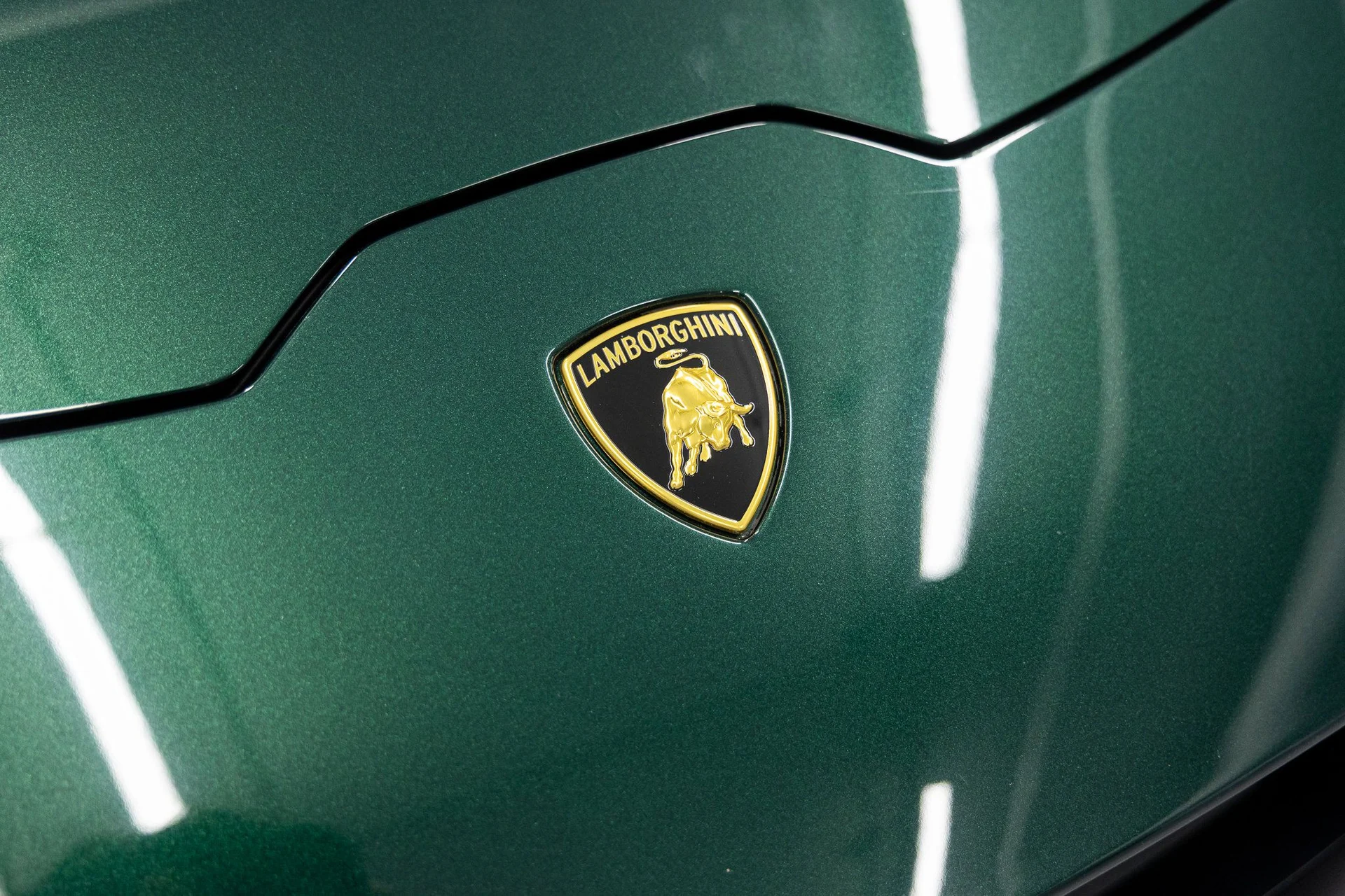 mph011_2514713195_963f0efd381e236845fde7e6a9854a68x_32910345a5