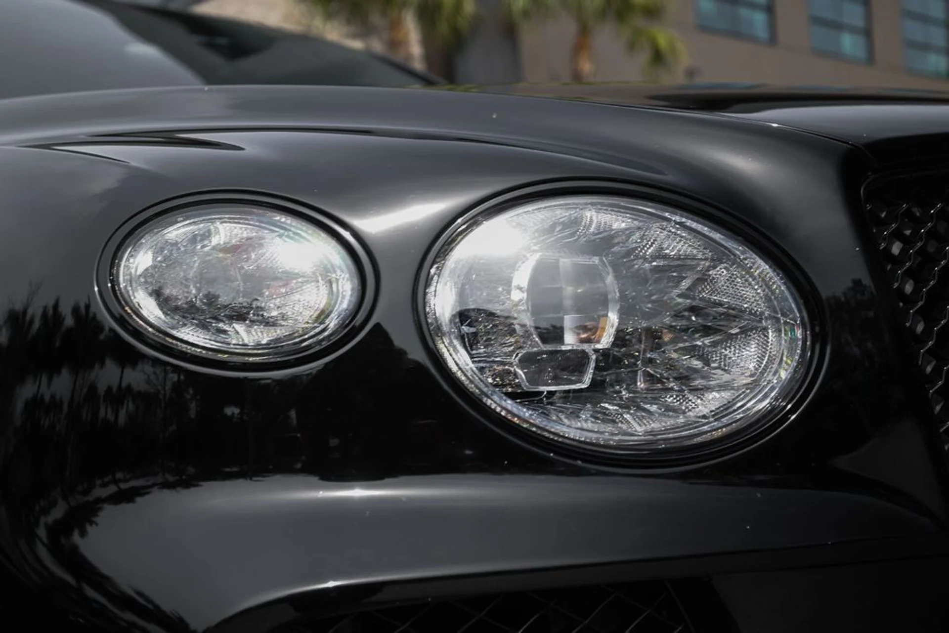 mph011_2517705768_d37a6631a1679bc6656afae7f6f81110_27f8d85c62