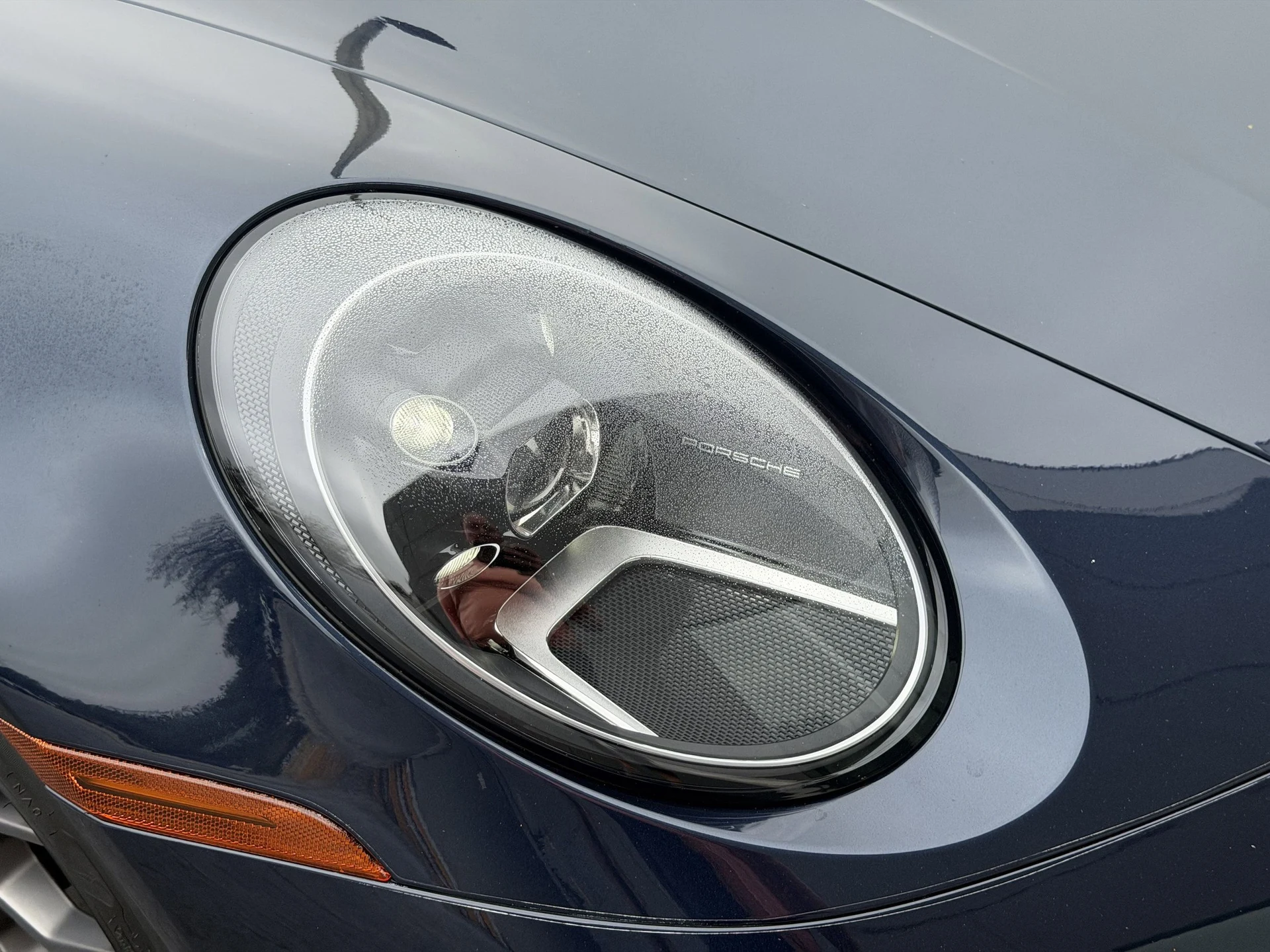 mph011_2529148504_bd578f89bebf3ca18bb703e76f6efa94x_727cddd54b