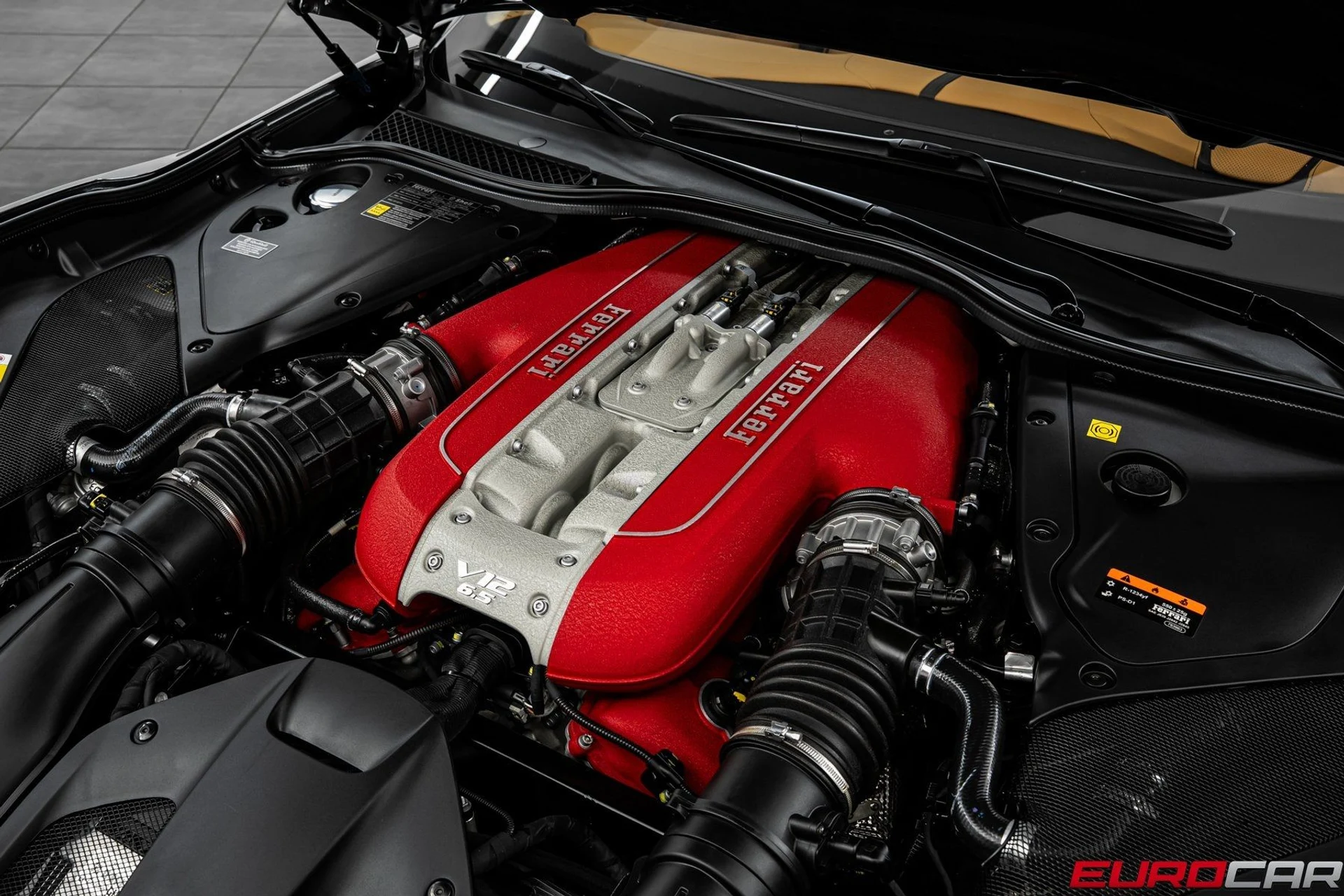 mph011_2546716701_image_12_c97e0883c5