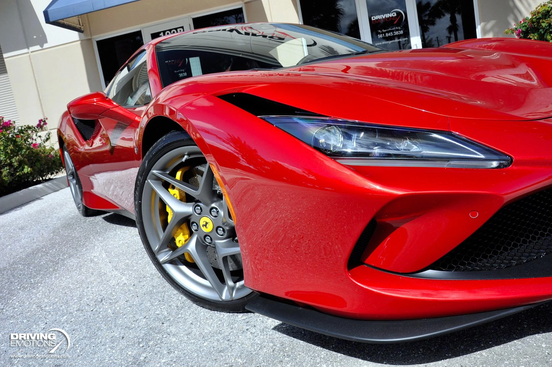 mph011_2605899838_896_p12_l_3343fef49b