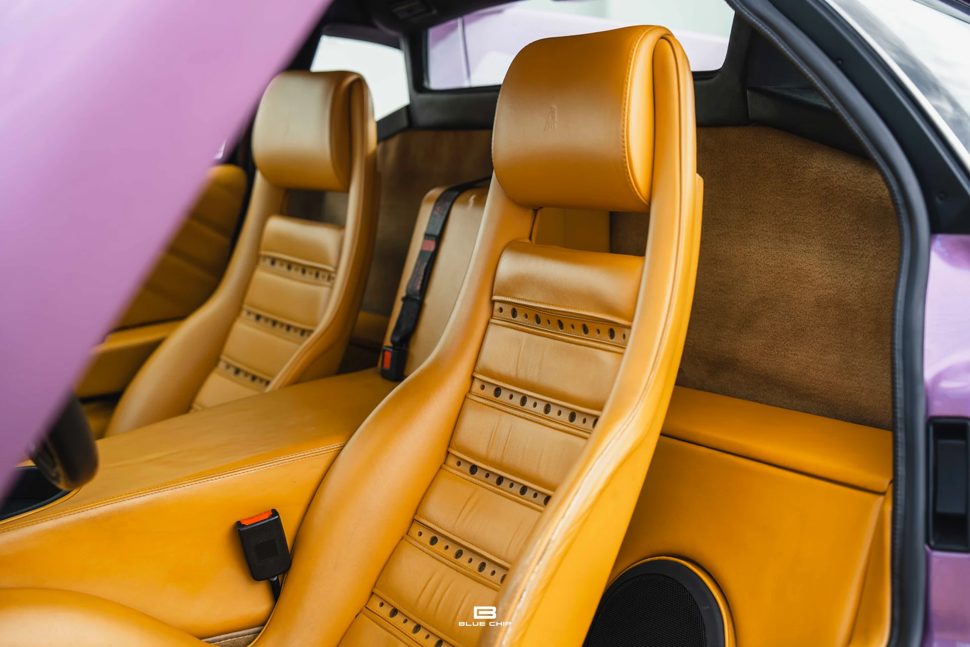 mph011_2655227064_68965d99f1a06e437d961736_DSC_01997_948cba59e2