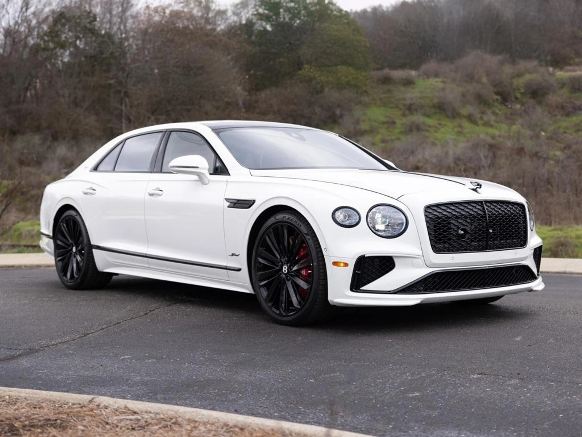 mph011_2726111204_403809833_67c234246b5617b02de637a1_b5b3de09a2