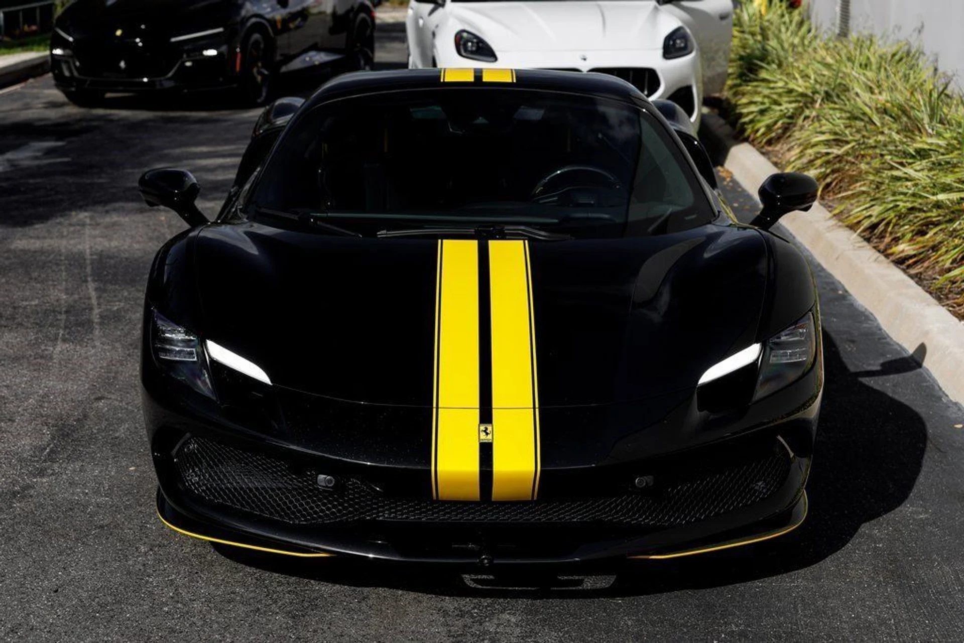 mph011_273351636_7d7a699ad8a523eac235d66d6a832b27_ddfc945e4f