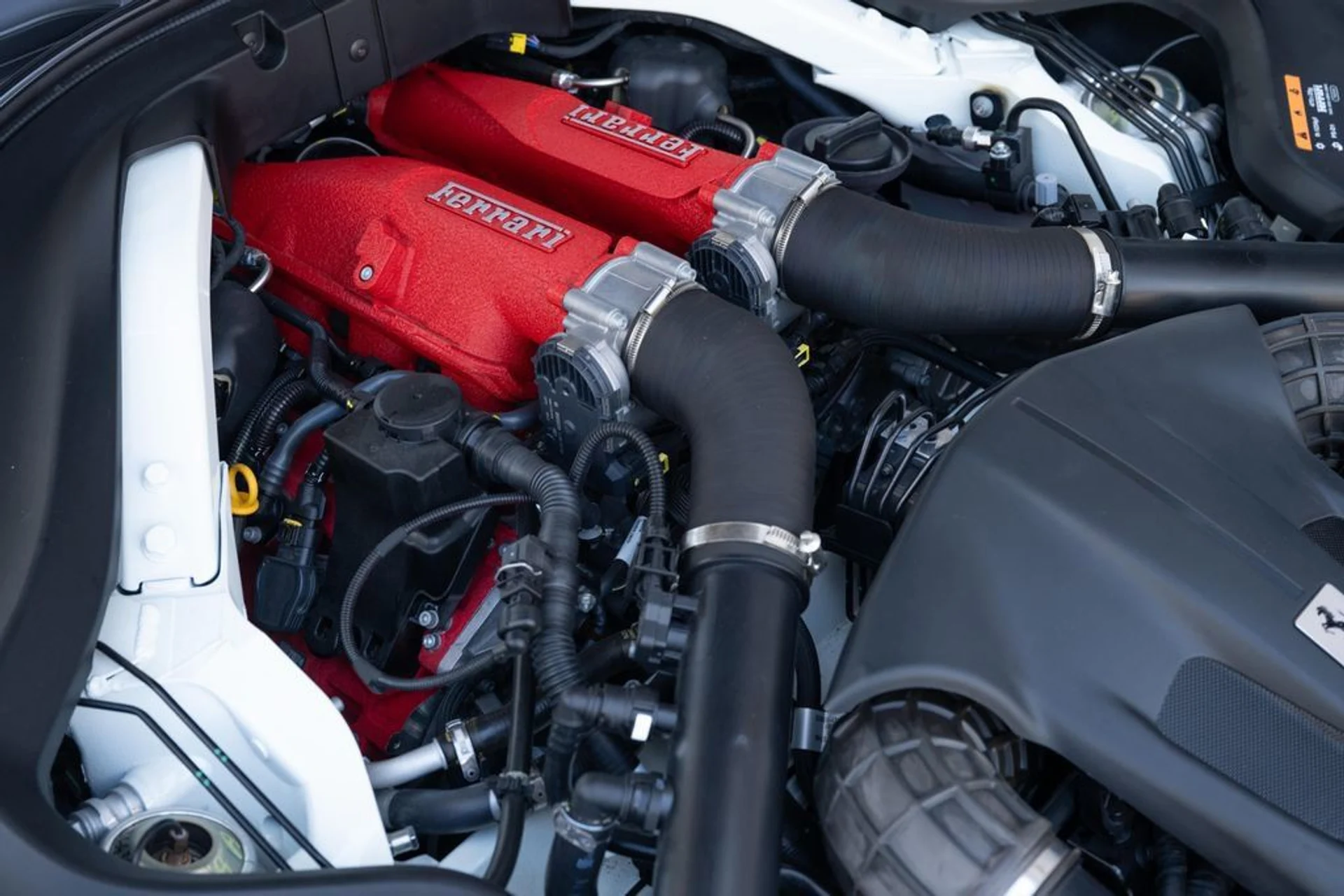 mph011_2753796313_3ebbdd0ecc744ddfaf0223289c72e80c_4195689237