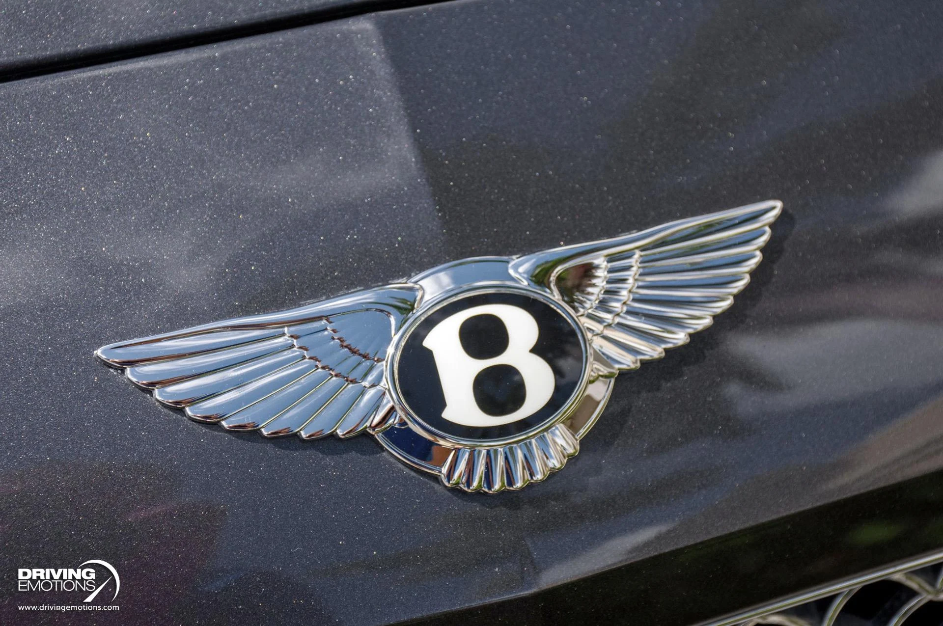 mph011_2793698475_871_p12_l_43ffaca838