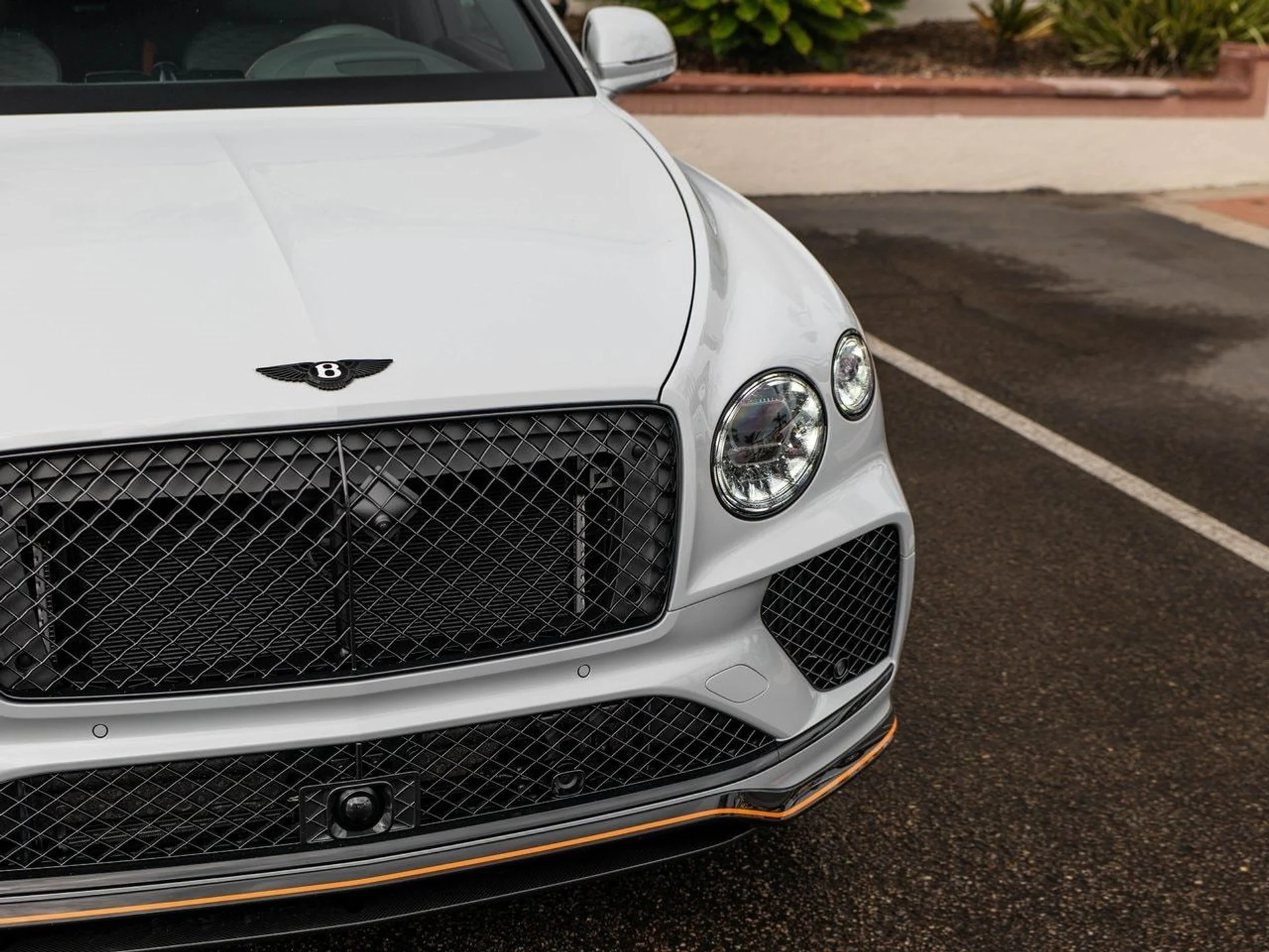 mph011_2799753447_c72319b3dbf84eb87dd6a97511dfcc41x_0c8864ff7c