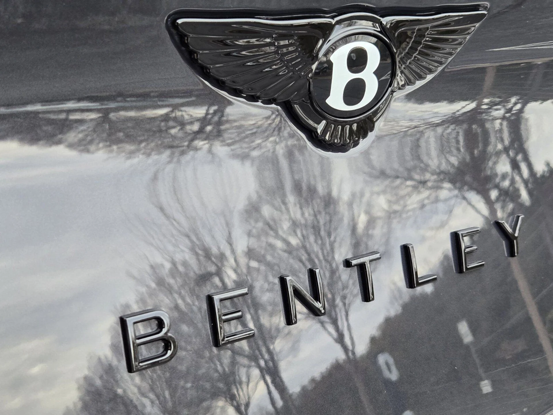 mph011_2816289420_cfd02a6b320cf4c6722aa6af7aa37e2bx_d8f15301b6