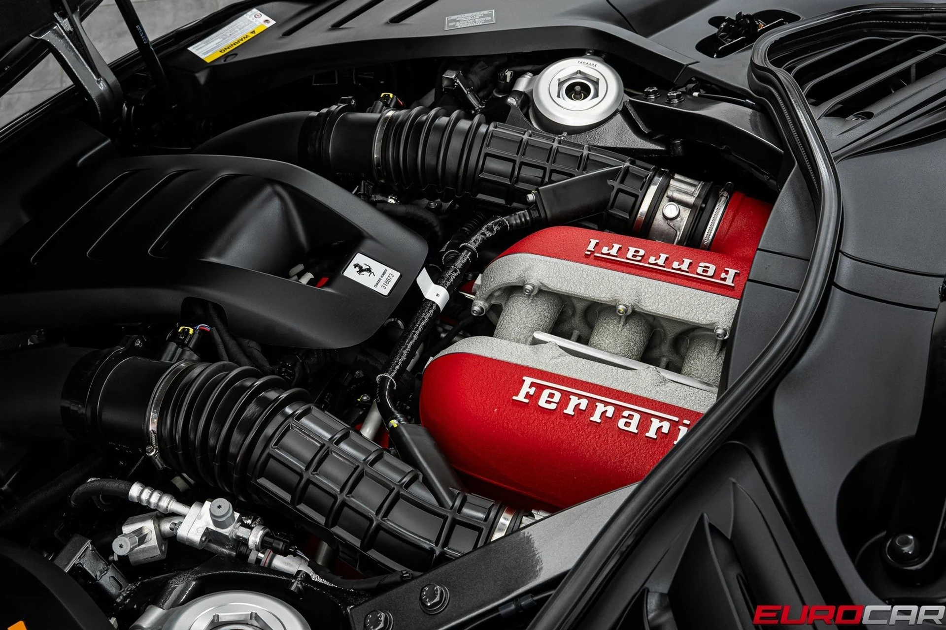 mph011_2822176736_image_12_cf43bfb8b4