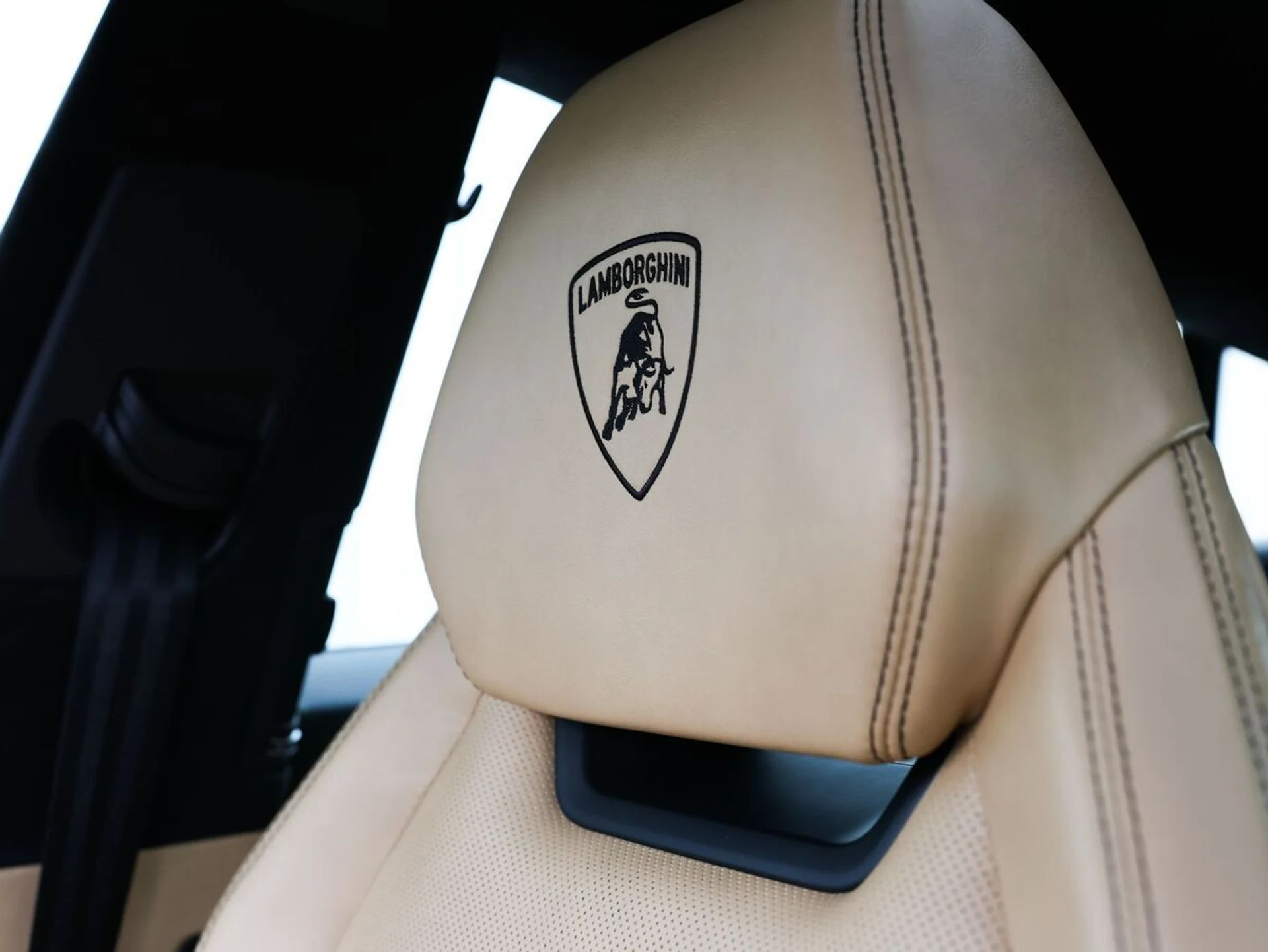 mph011_2888032261_owfklc1vrhw87j5nx53pe4dovxhz_ae1fdfbc6d