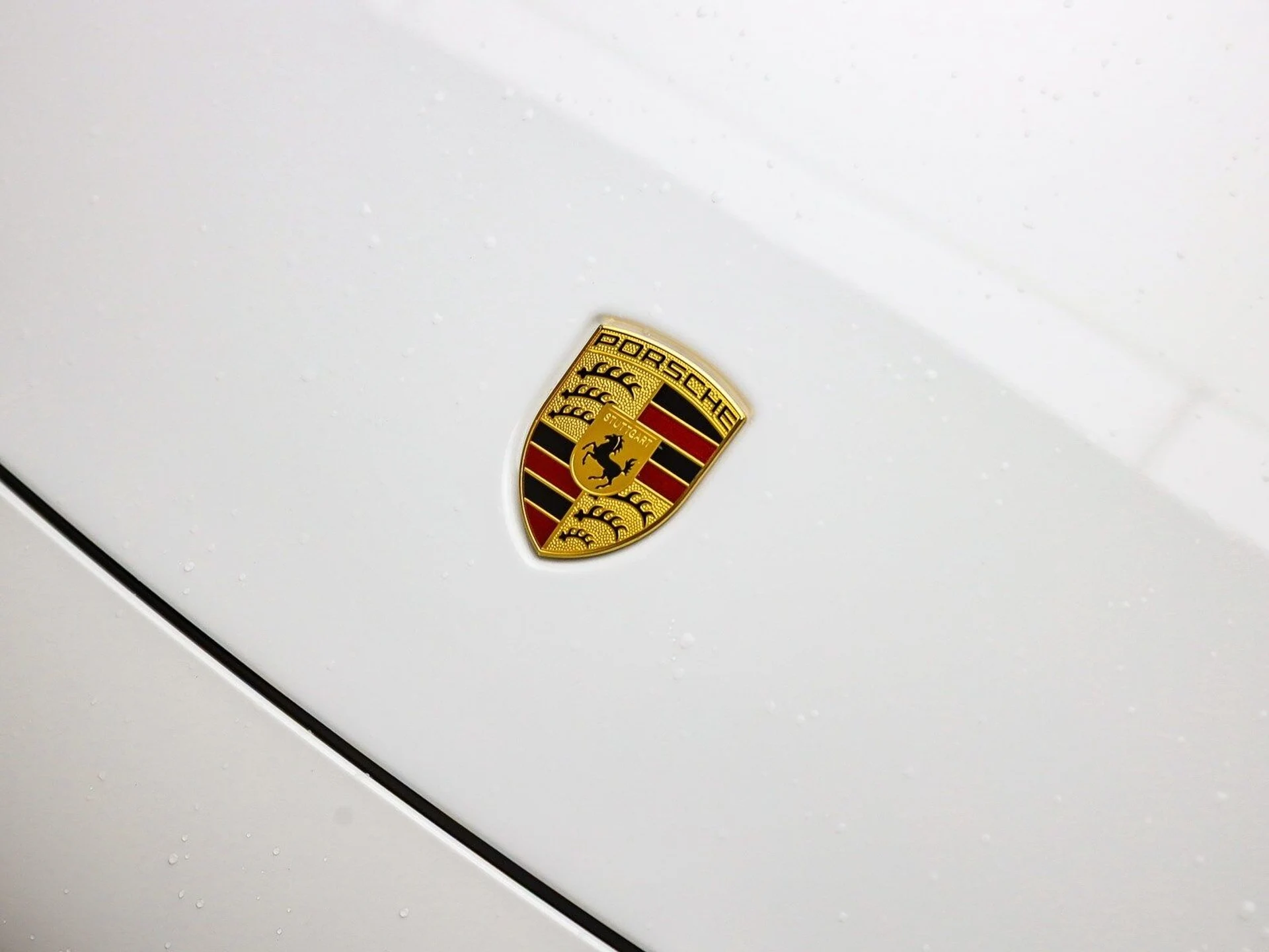 mph011_2902696261_ff13f5d675b2a9e31e85ccc7946ec7adx_f20bb15e38