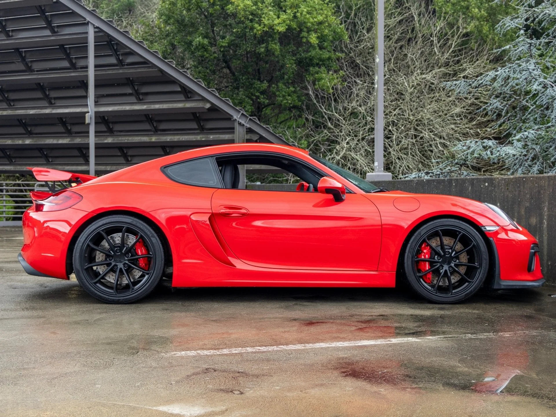 mph011_2958269667_12_87530e66a3