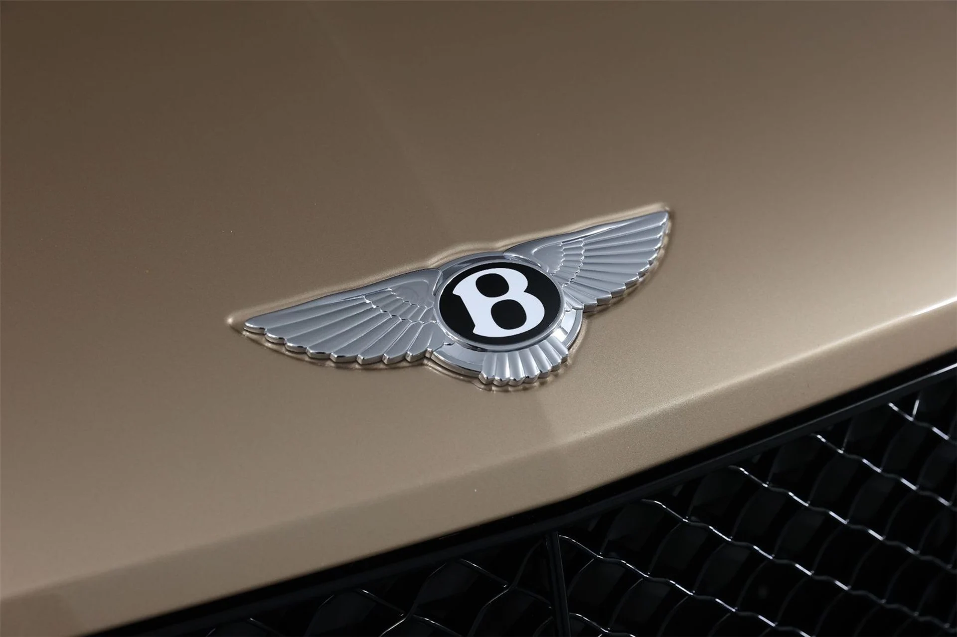 mph011_3006759094_7b2c4b26d92531854fc1e774a2ae9e2a_b0470dfbb5