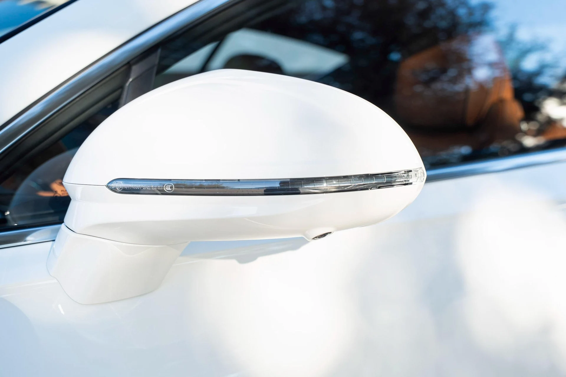 mph011_3025969430_478163262_6984353fa729137fb48dee6d_bcc1651897