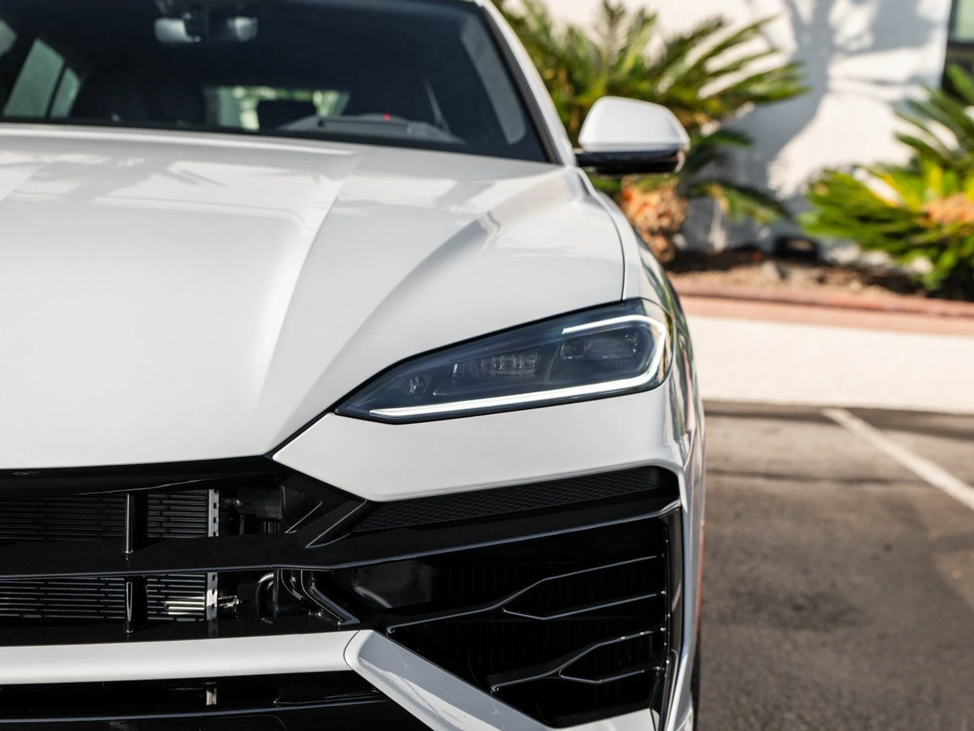 mph011_3031367642_d339b590471cdef47c8b3e2ea60029bax_3ae164b32c