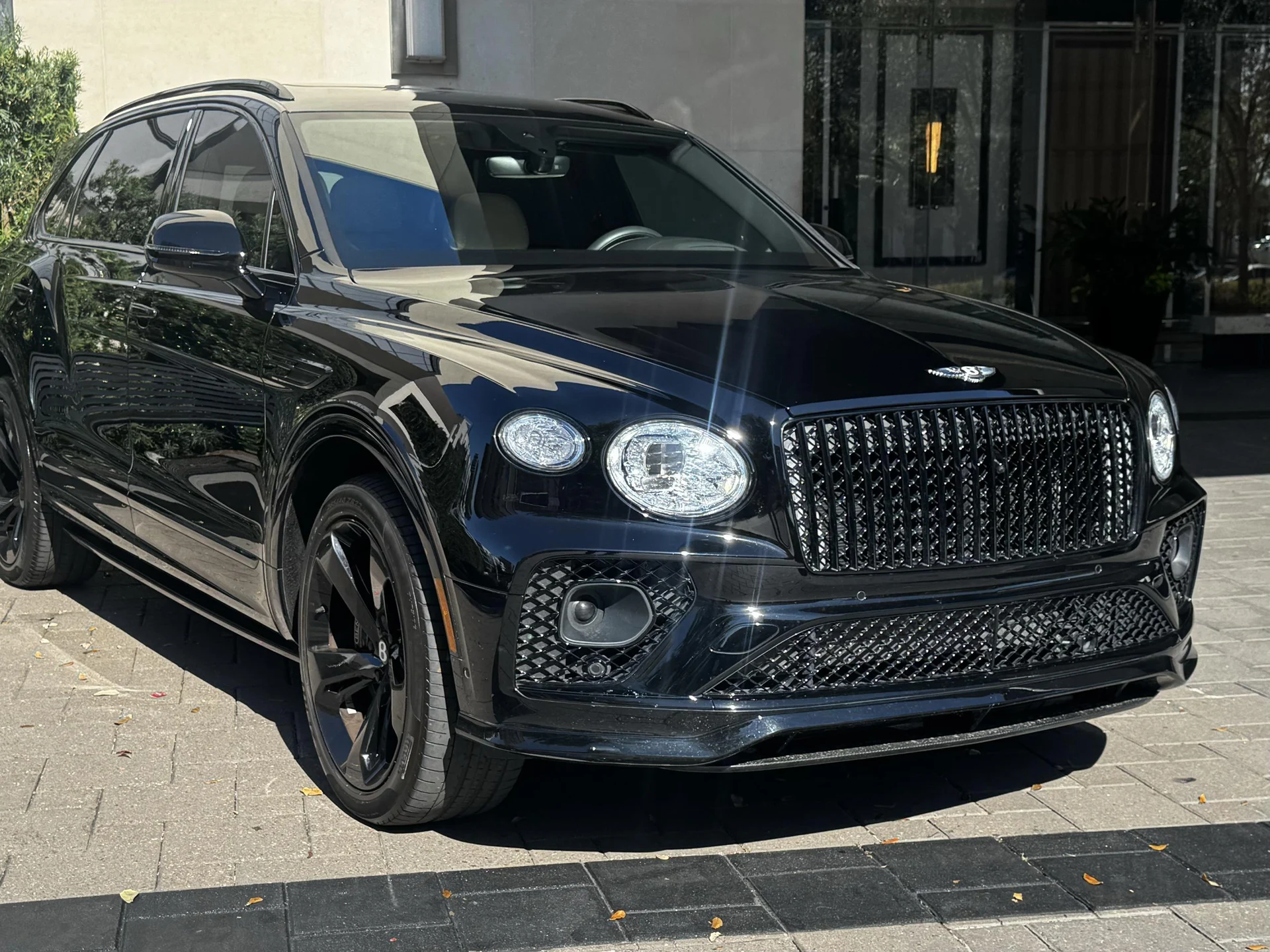 mph011_3034212869_477374242_692872f5e37acebedc56e2ee_e72139f5f7