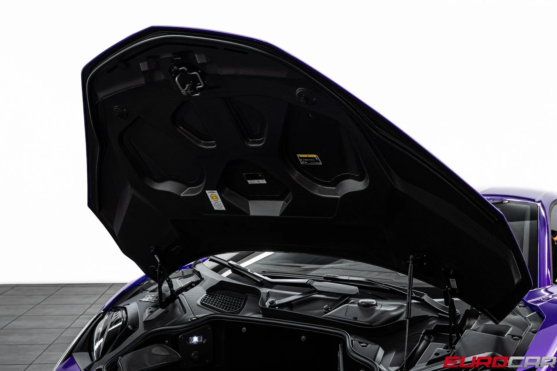 mph011_3116514567_image_12_e3ed03d94a