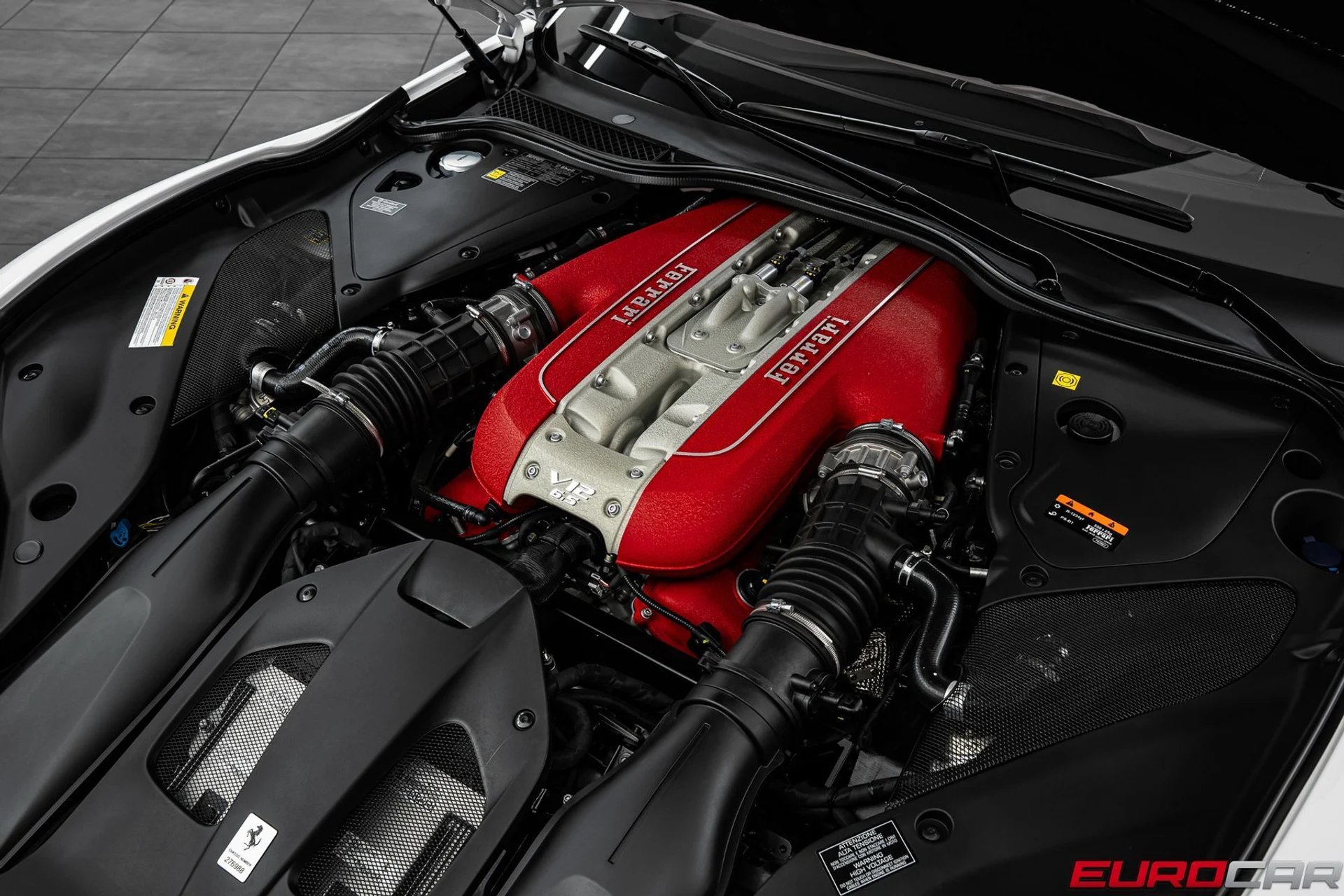 mph011_3136364289_cef804b1_ef4d_4ec9_ace7_2776d161ba9f_d0035c6542