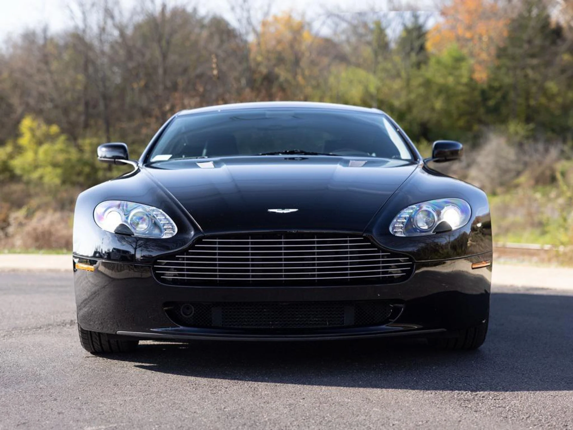 mph011_3148388737_475138144_691e0d32c01e3bc8a2df6d90_23e5985311