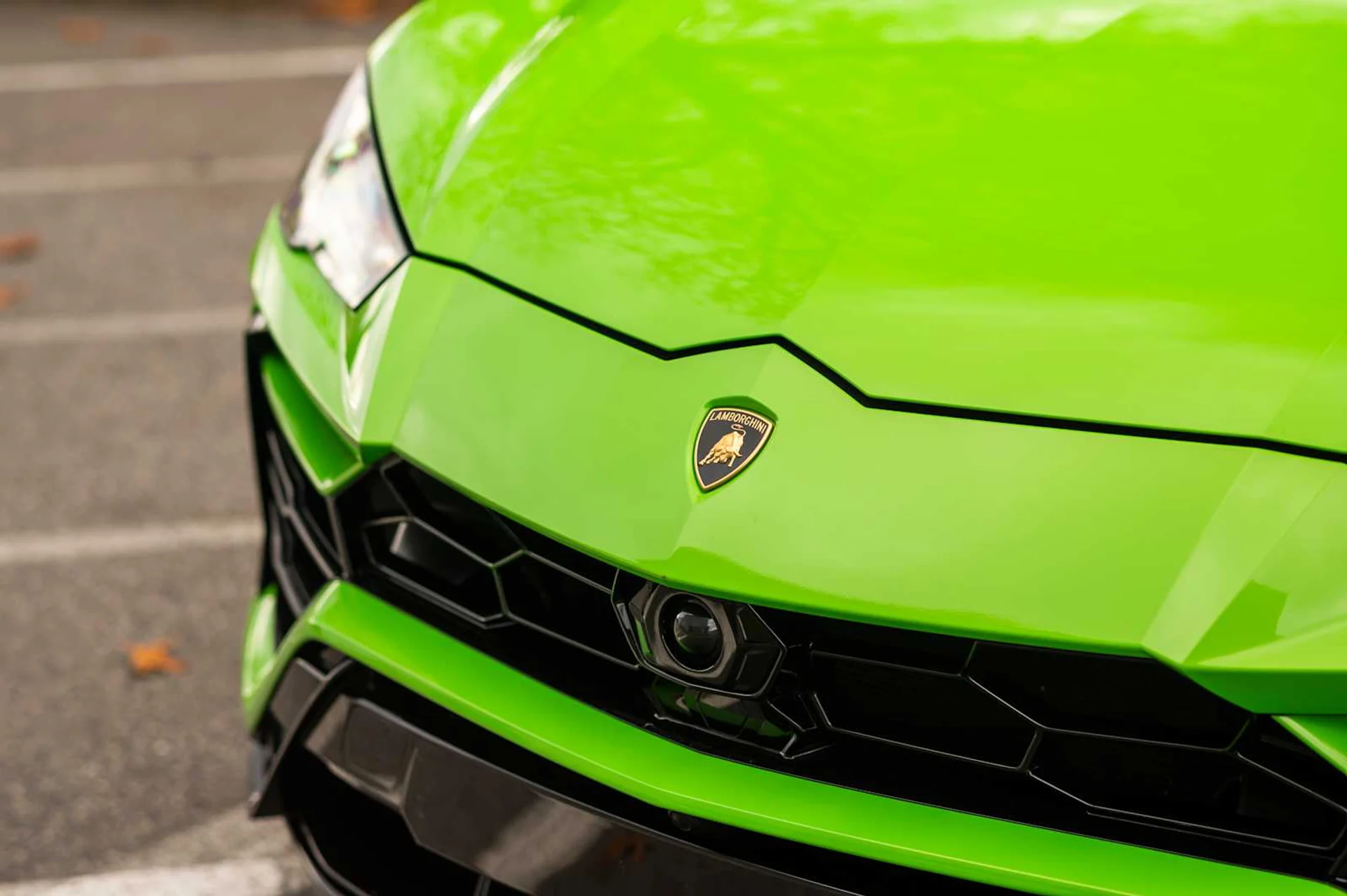 mph011_3172866024_9d87396b86cea8cc480cbfa108536473x_443cf48870