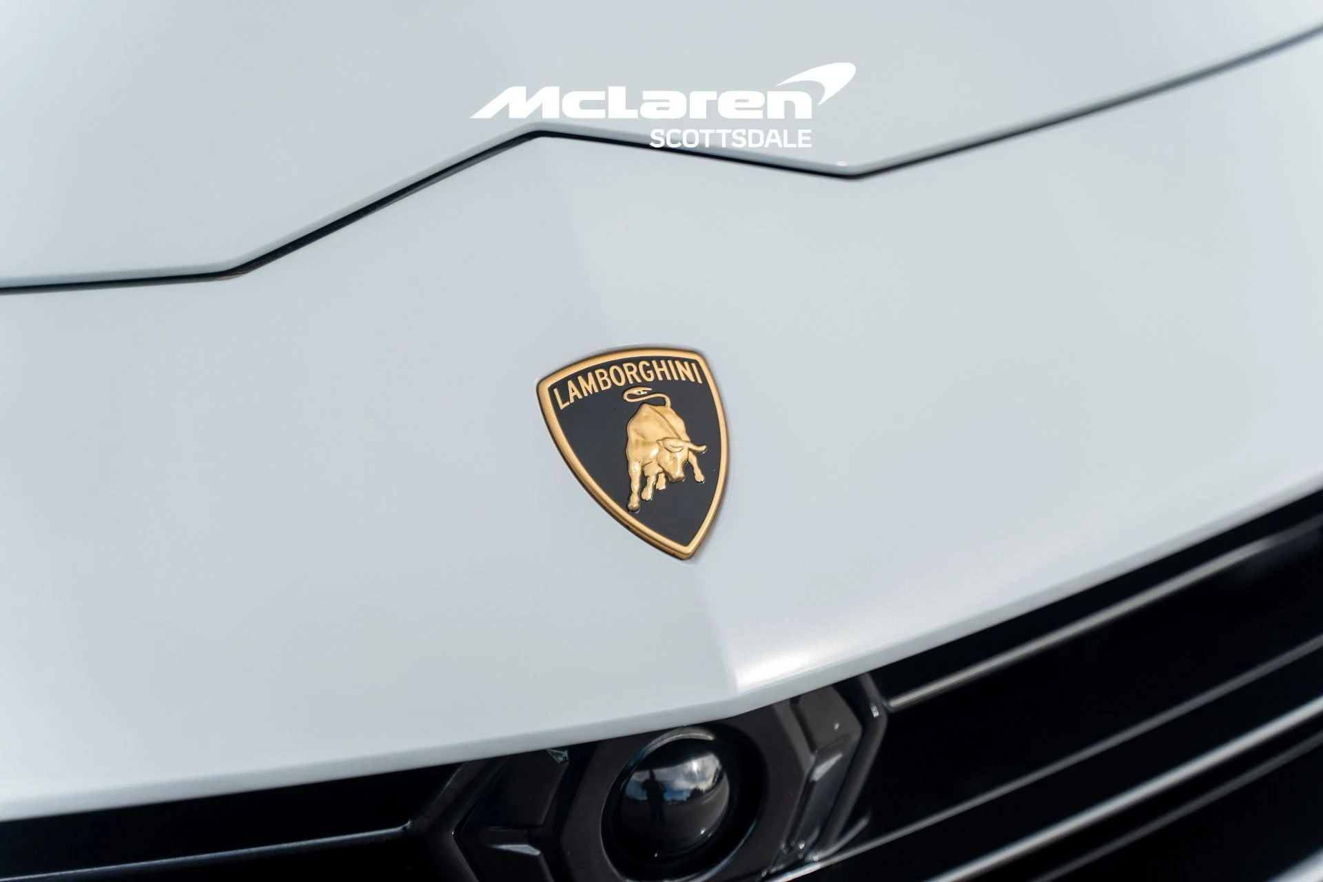 mph011_3218723902_Used_2024_LAMBORGHINI_URUS_Performante_1764564221_800d4dd855