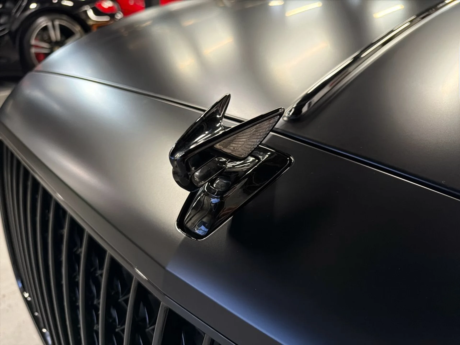 mph011_3257200398_639041803121454221_4ea1d4d27d