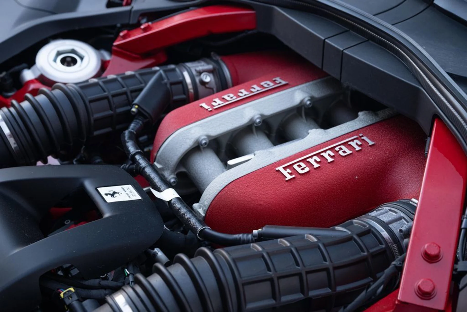 mph011_3268811552_e05c48634c164722ab281de6c22cb07b_6a84dacb6f