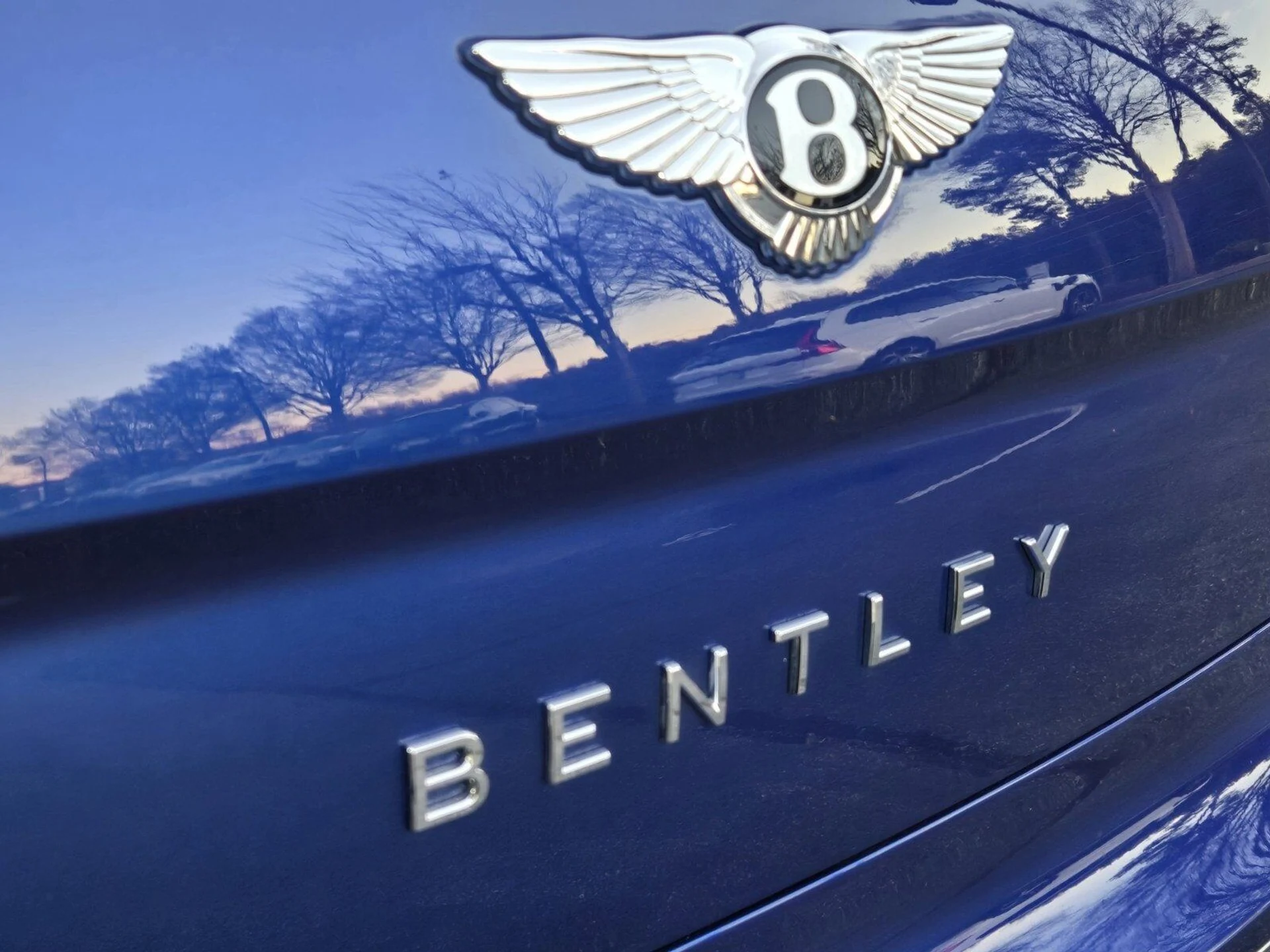 mph011_3330575387_ae206ae72747c0eba1a4ab24bf769b93x_d7be78fb7a