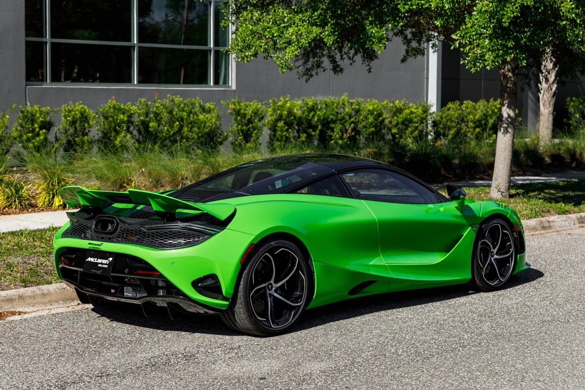 mph011_3342338559_668_p12_l_a2f54c036c