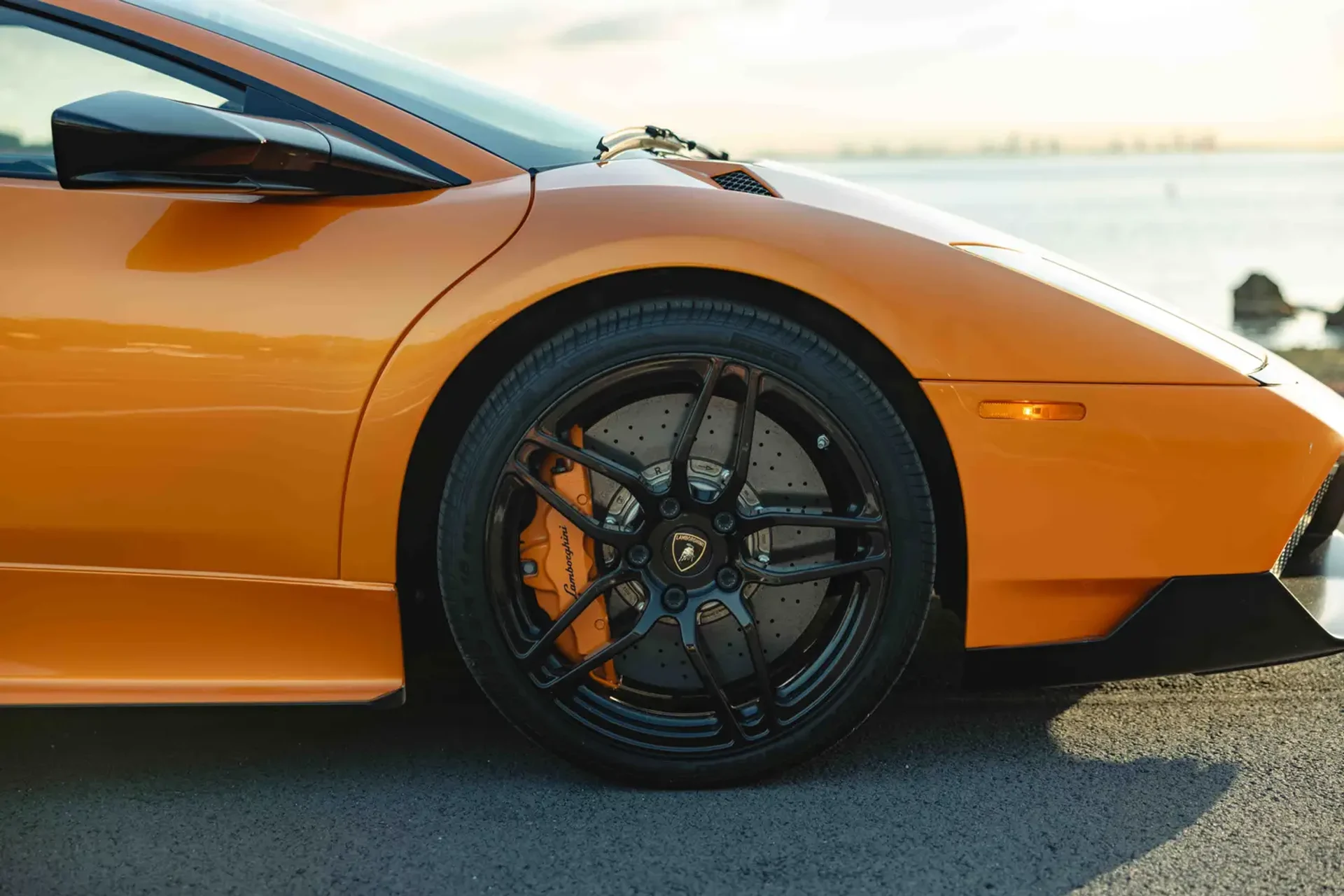 mph011_3404159442_69afa4bfbe9d43d98cc74915_gallery_image_11_1773118649739_c5666bfa07