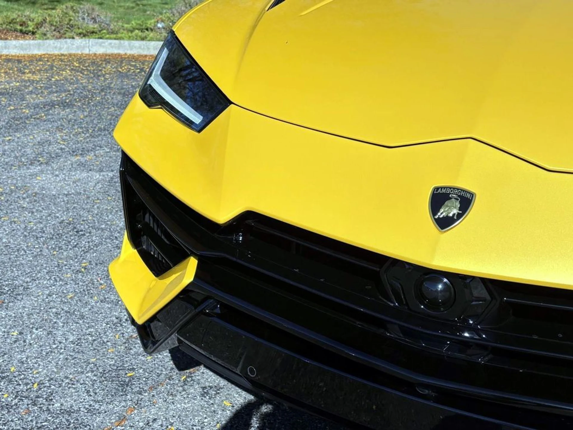 mph011_340512883_aead57e2a9548d33a314f4bbfbe91455x_ad97ef9e6e