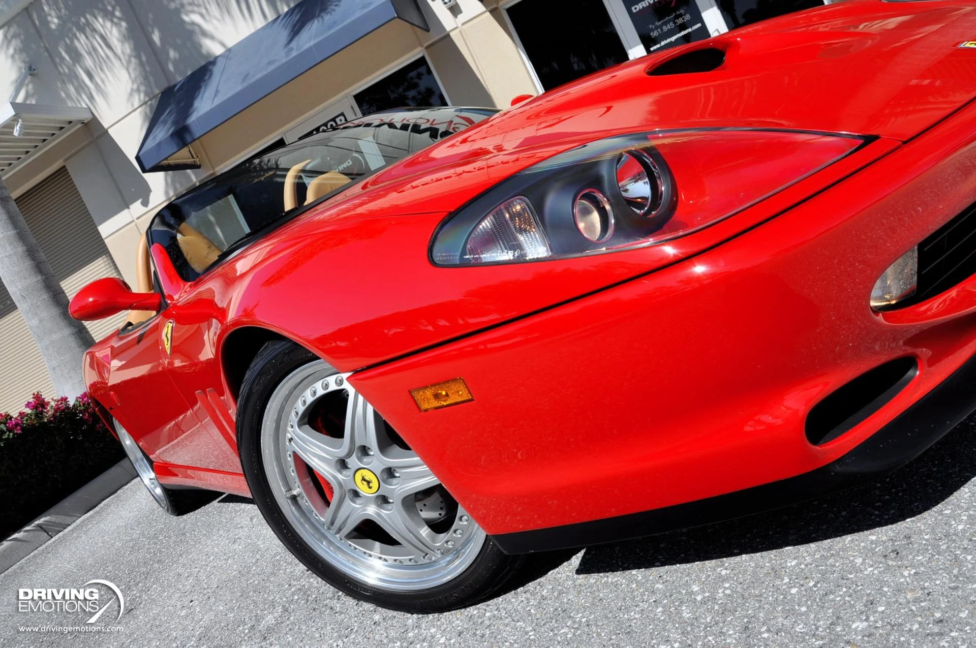 mph011_3405937430_437_p12_l_fbb90b21b0