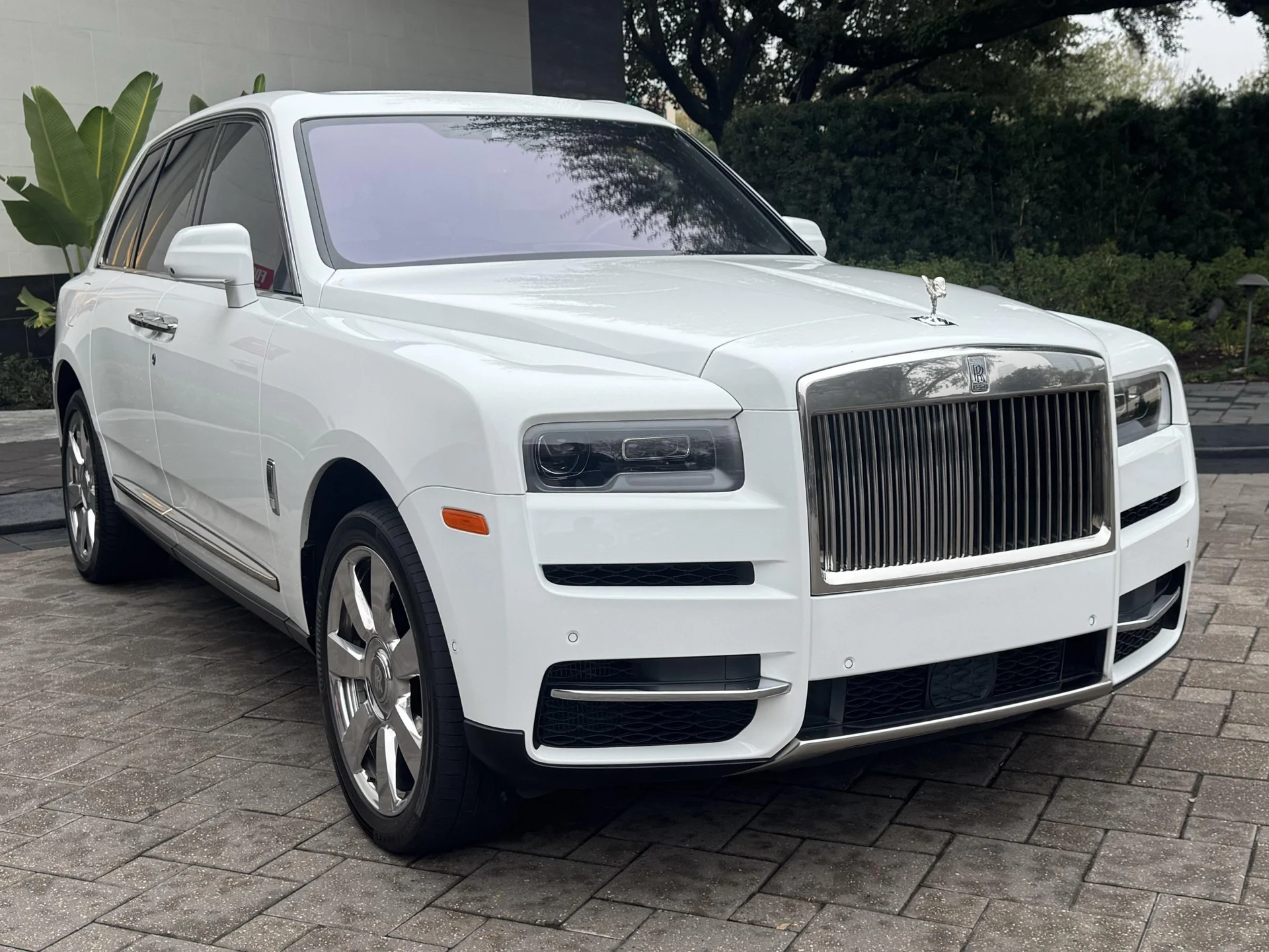 mph011_3430084853_489632217_69745bda601b5c3fd3f2a859_3d999f89df