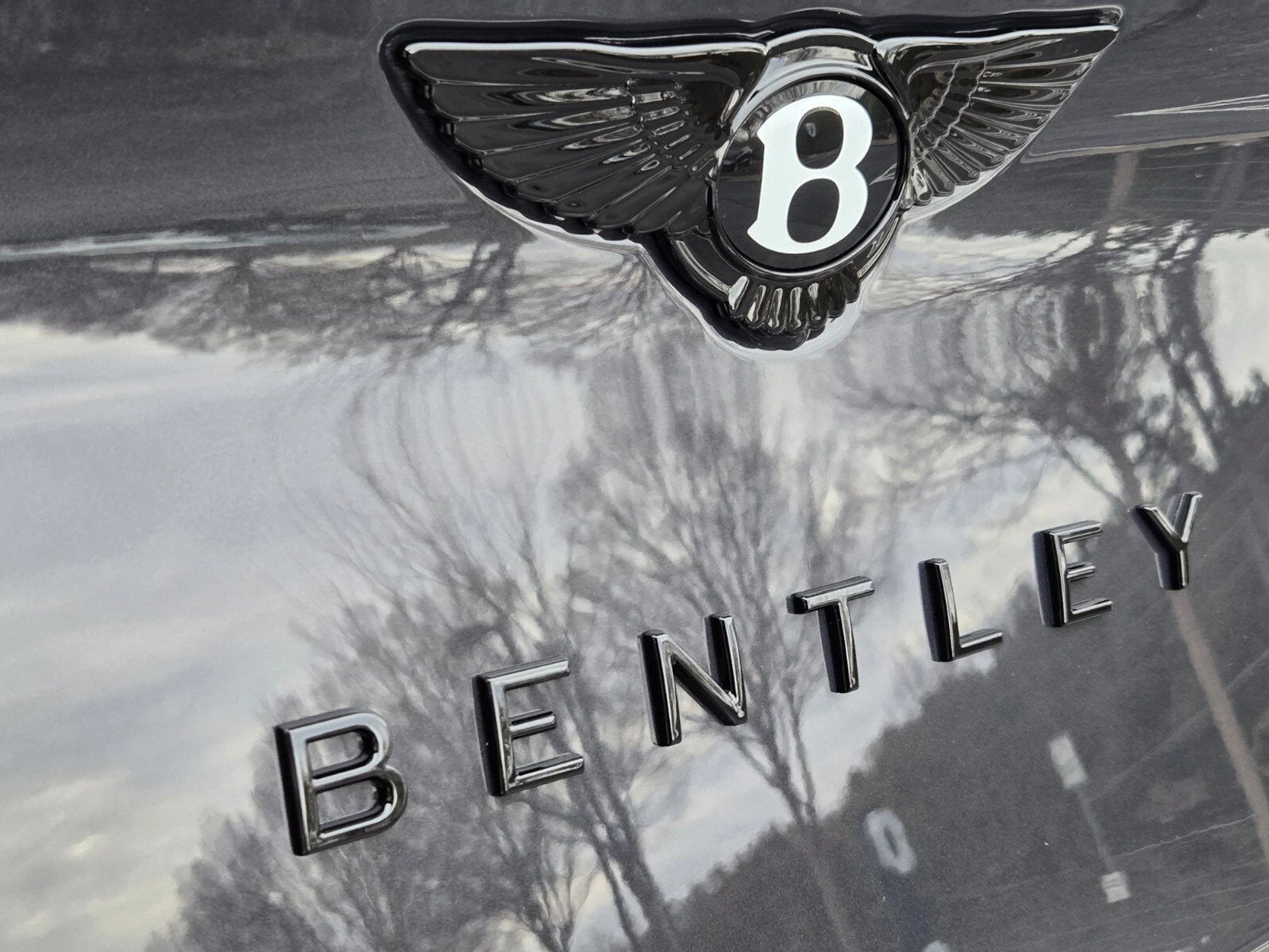 mph011_3496708140_9d922df0b5f675152bf8c6b2c8ea0704x_7dee313ff3