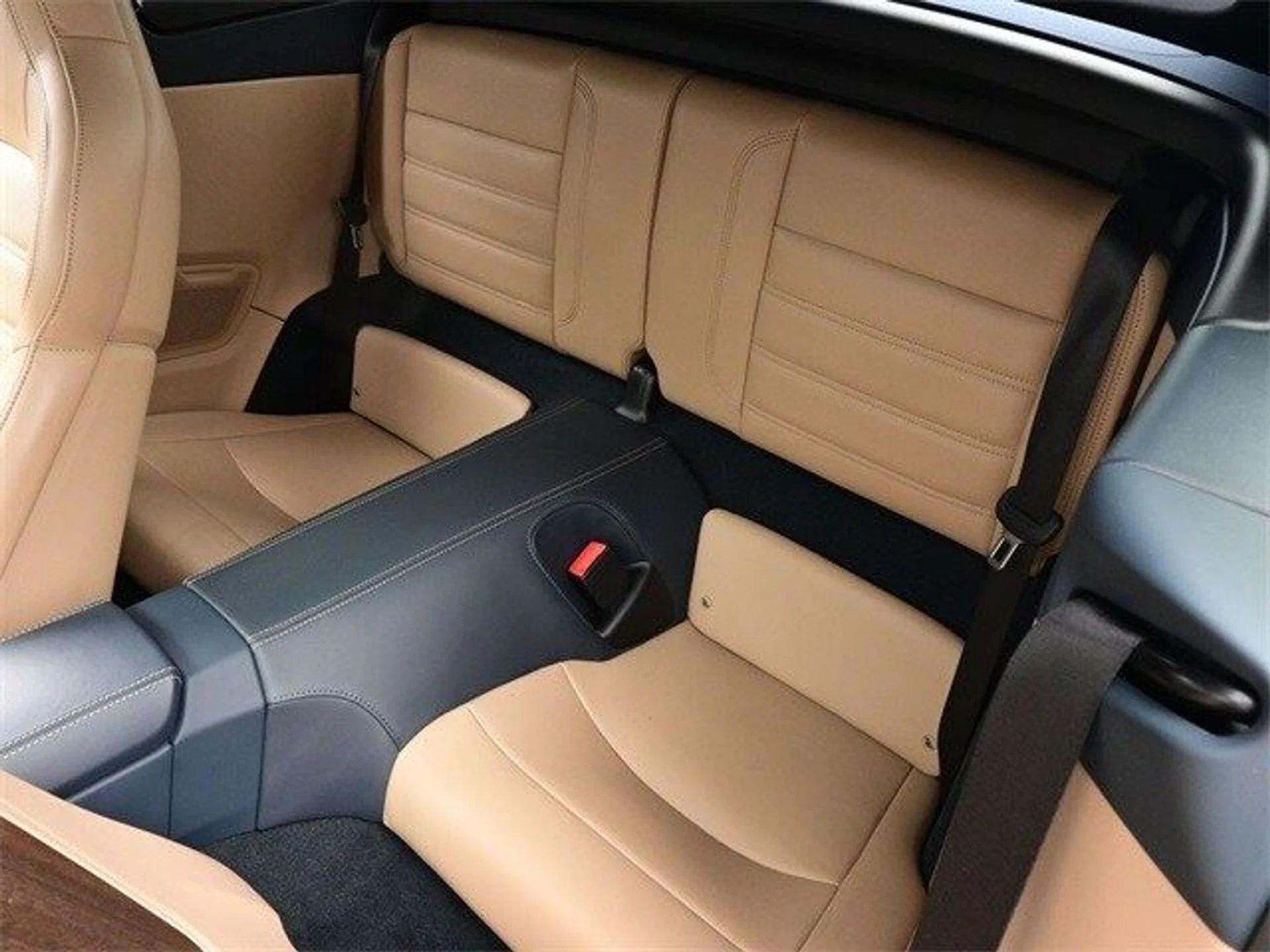 mph011_3508434512_db6c3a15b67893404803798d1f5a1ebfx_65df5d3d4e