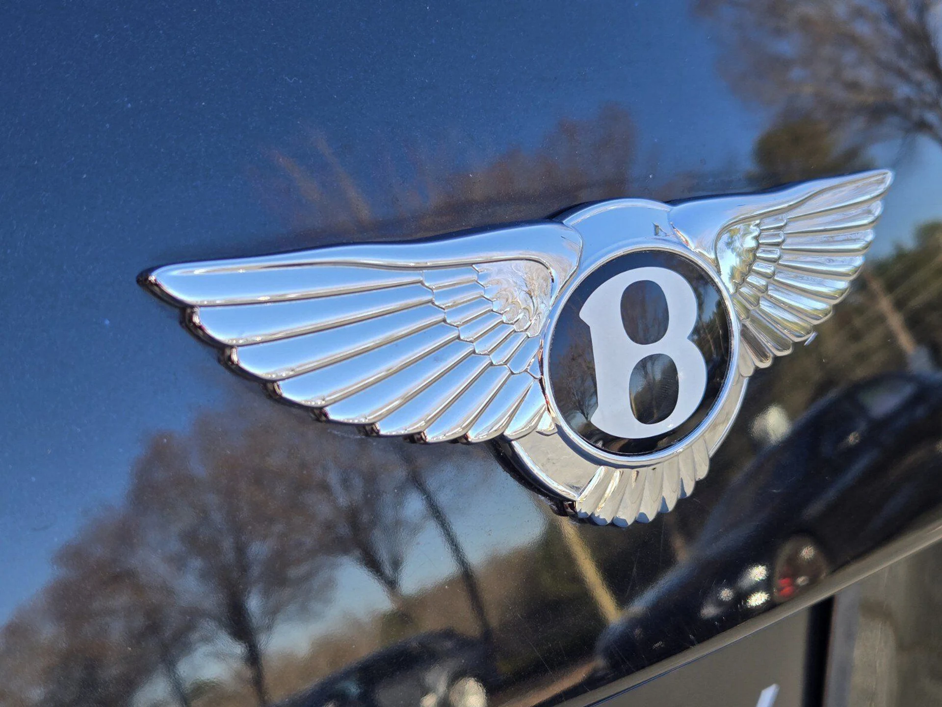 mph011_3513762472_7dff848e96463b3f1dcd7721f7fce2c5x_b47f0c16ac