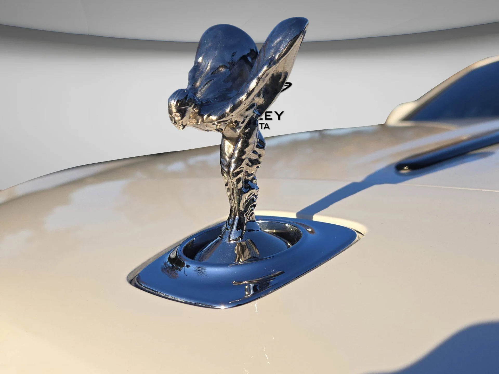 mph011_3651115475_abe54c6775f160716e12749159e734d3x_6cfa94f6f8